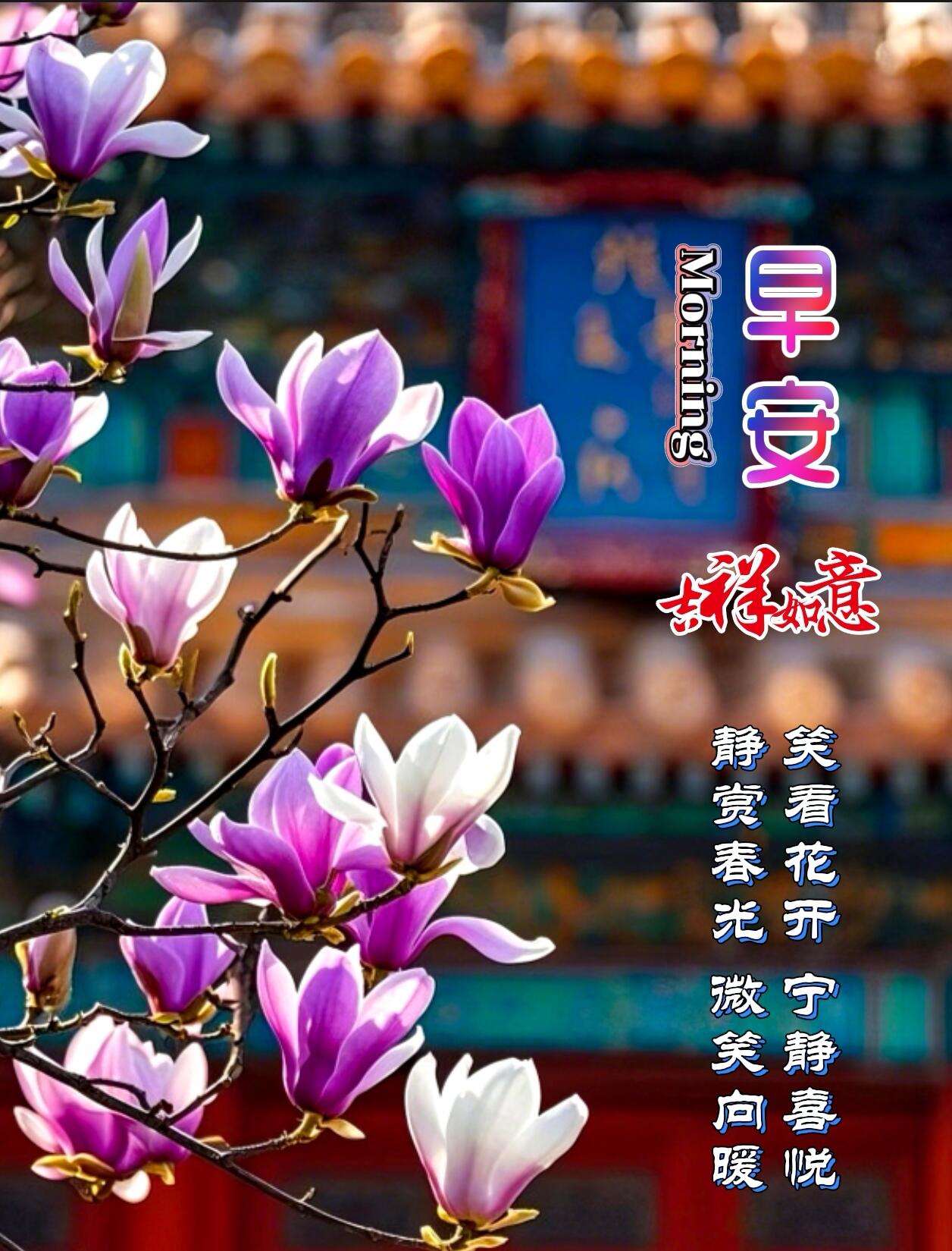 推窗,微风携花香来探, 似在诉说春日的浪漫