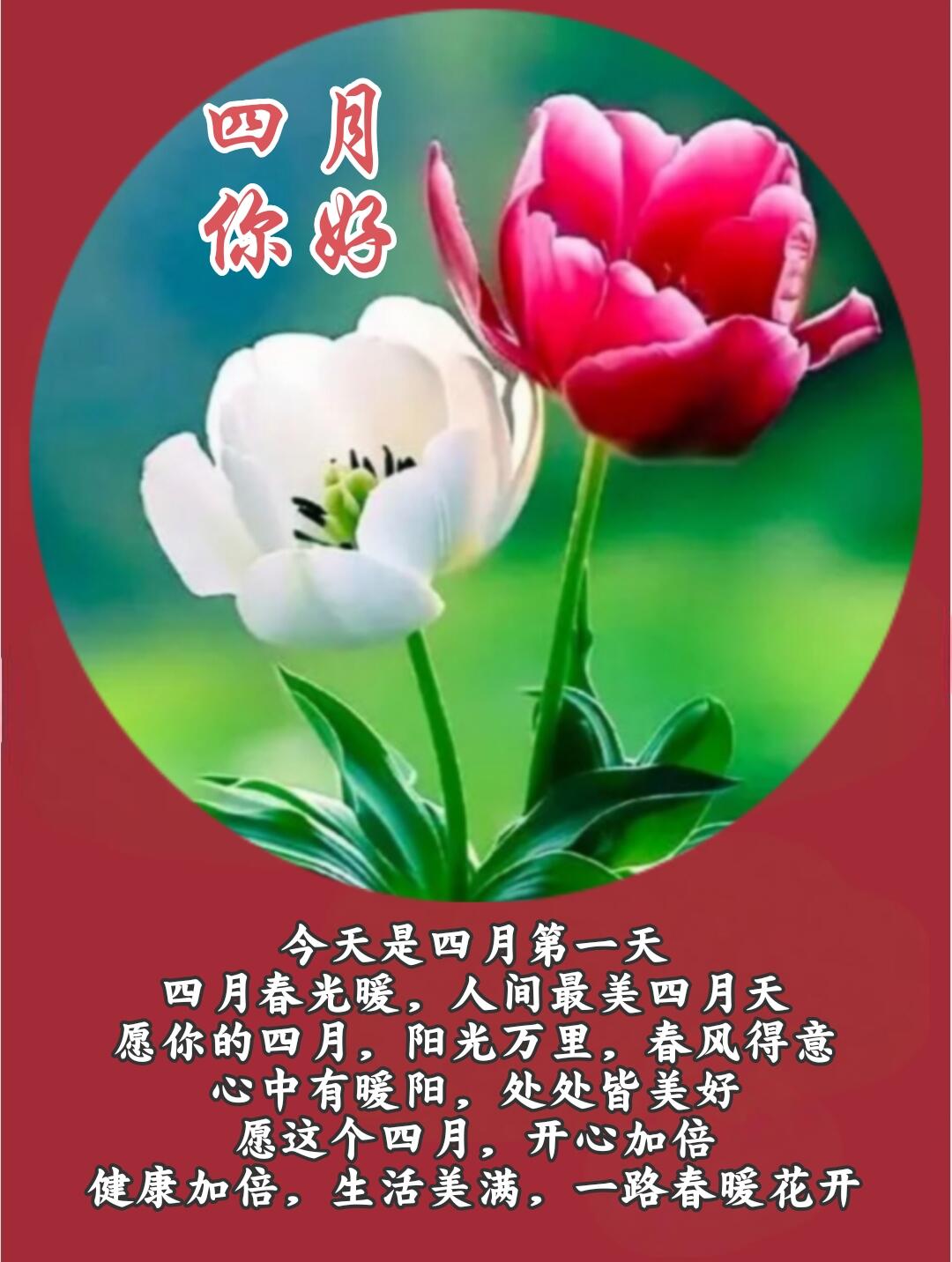 晨曦轻洒,晕染四月的眉眼, 春光 4月祝福语四月早上好