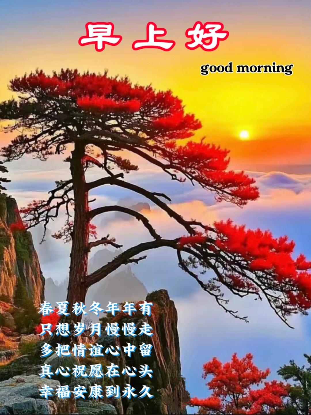春夏秋冬年年有 只想岁月慢慢走 多把情谊心中留 真心祝愿在心头