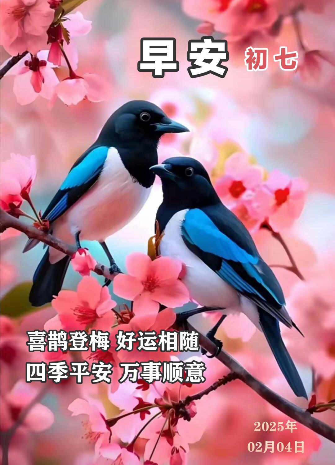 七月初七早上好图片六月初七早上好图片孔雀早上好问候图片福运降临的