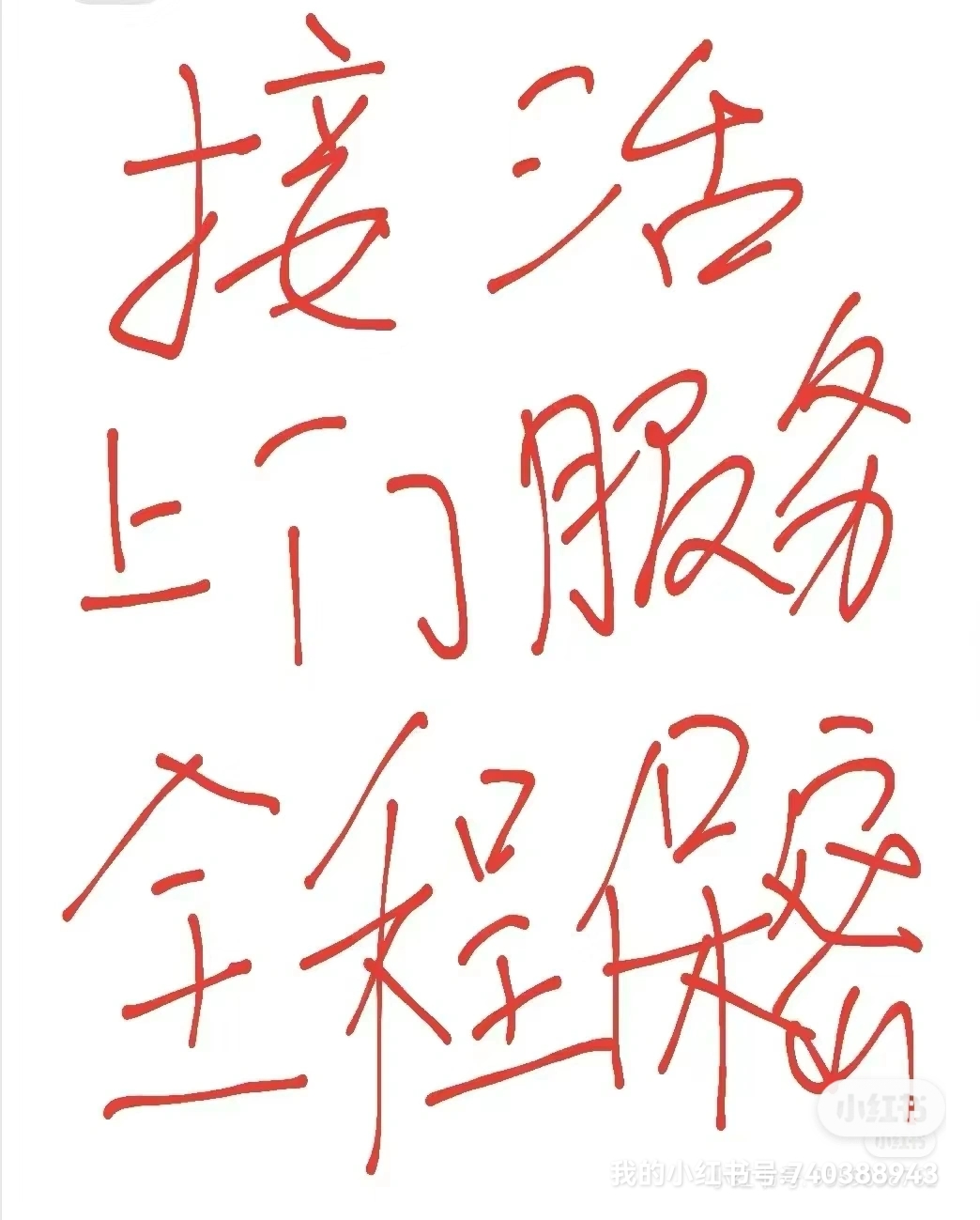 接活啦!惠州专业灭鼠除蟑螂杀白蚁除跳蚤除臭虫