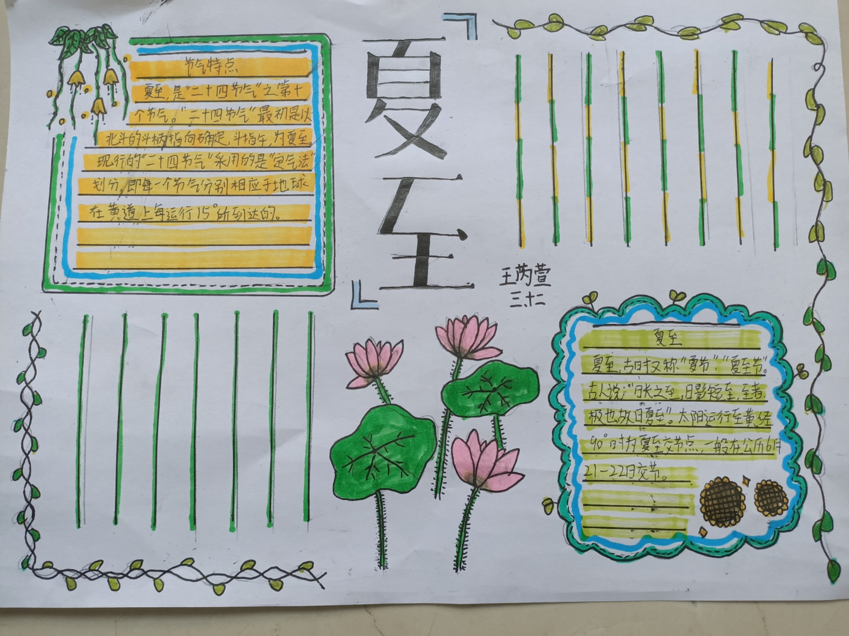 夏至手抄报