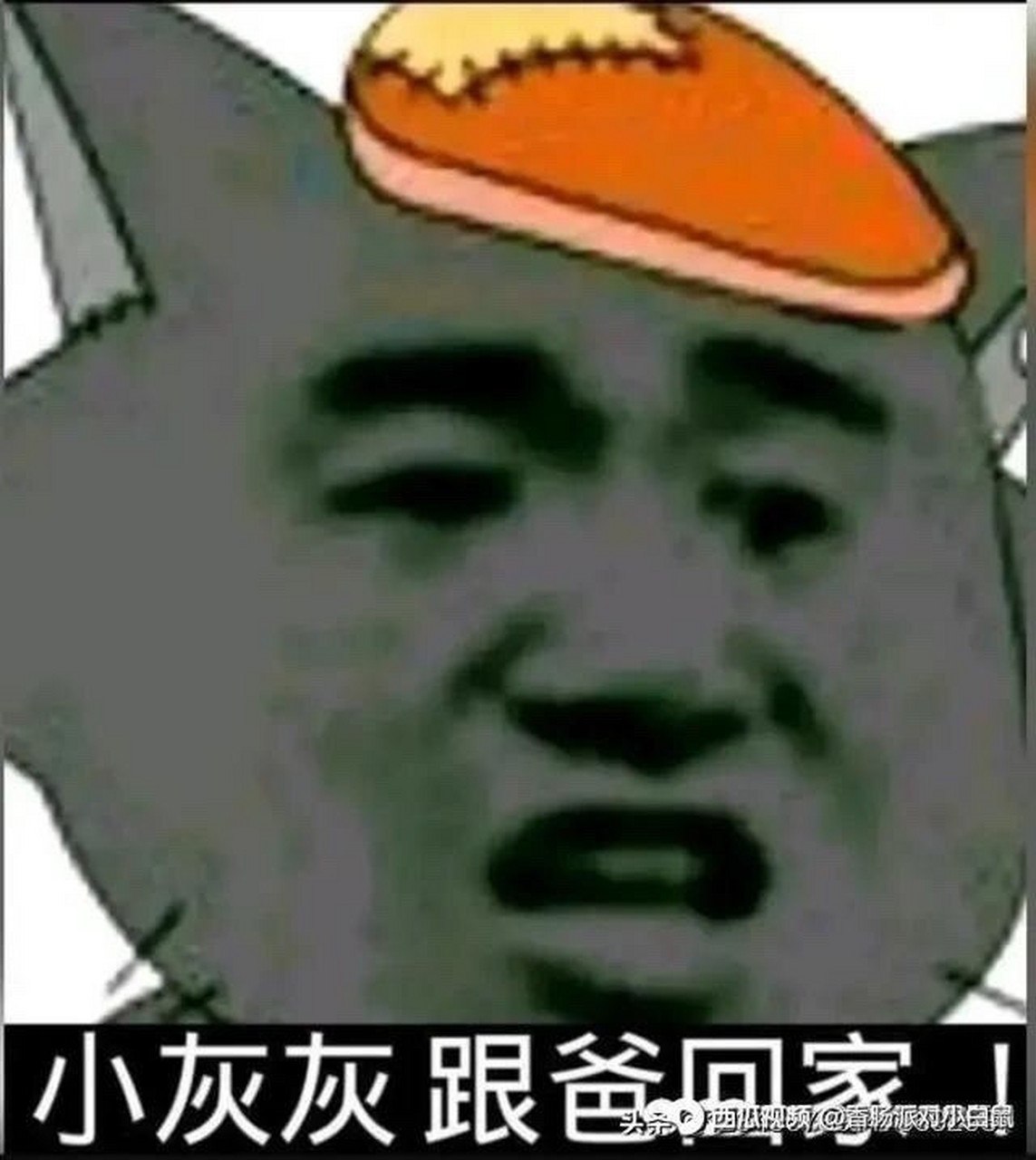 分享图片