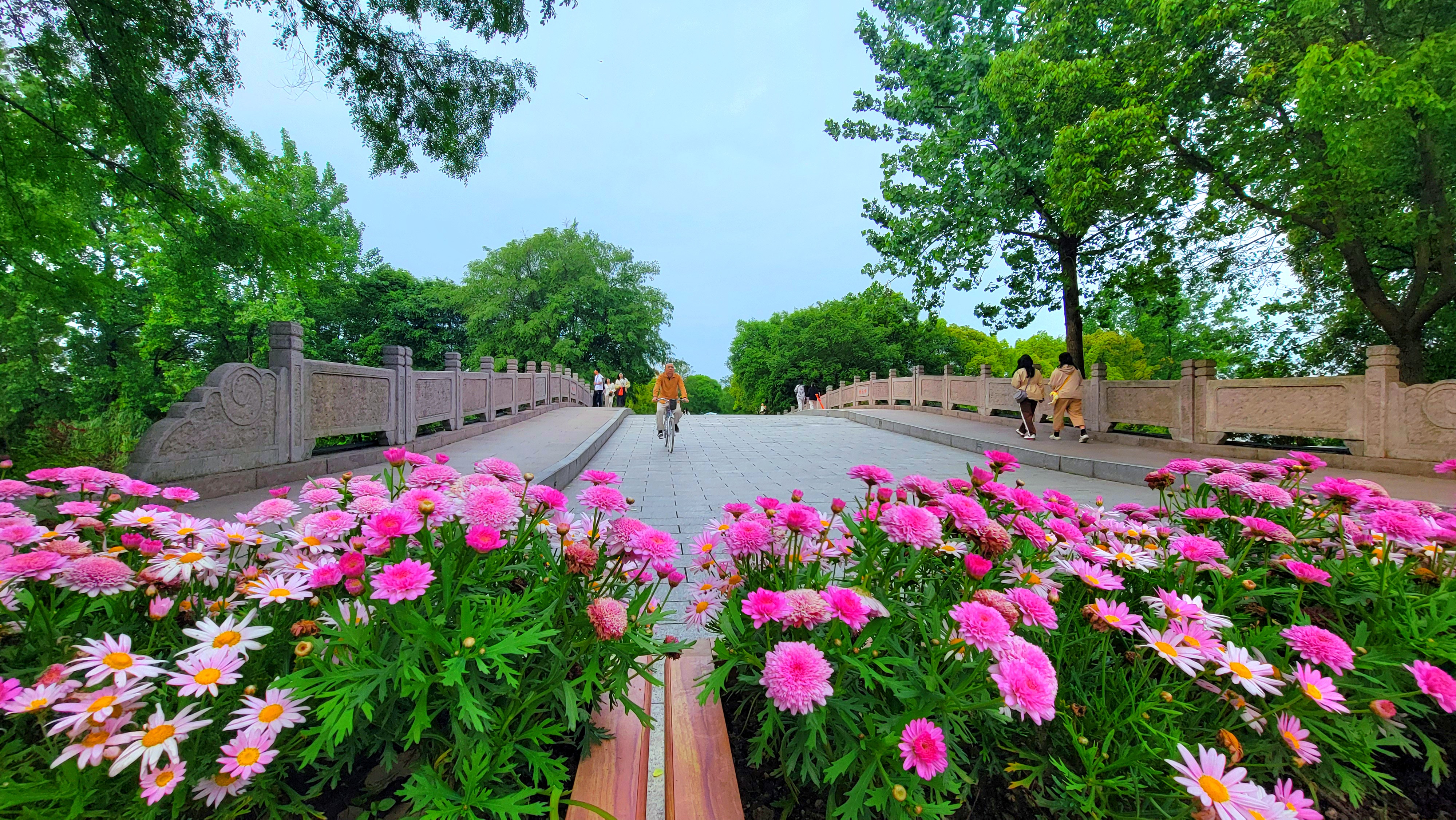 大自然风情园风景图片