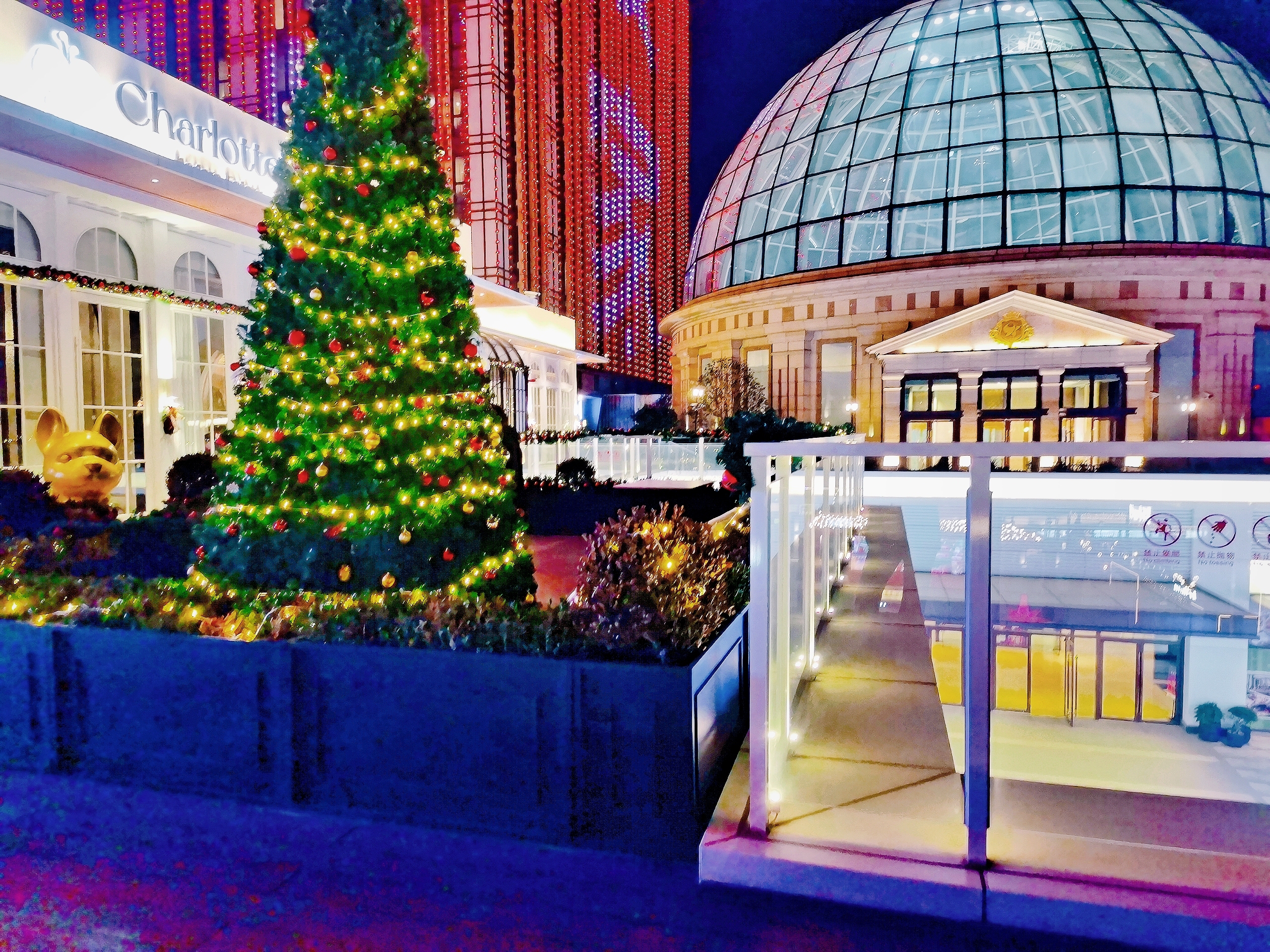 来上海月星环球港,夜景很美,在这繁华的都市里,仿佛在诉说着冬日的