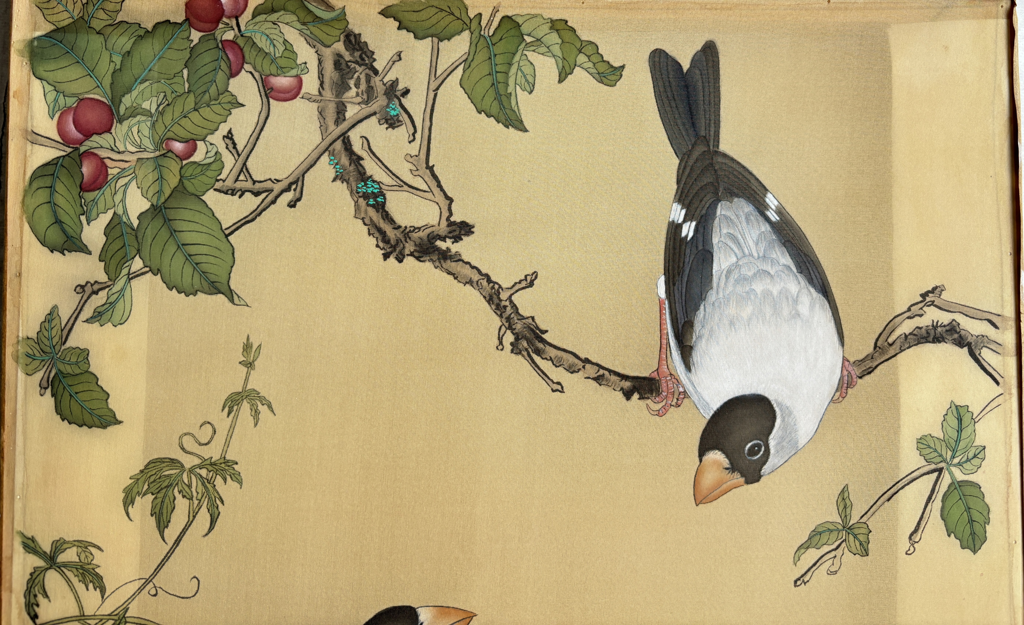 临摹郎世宁《樱桃》,款本,尺寸约35*41#工笔画# #国画