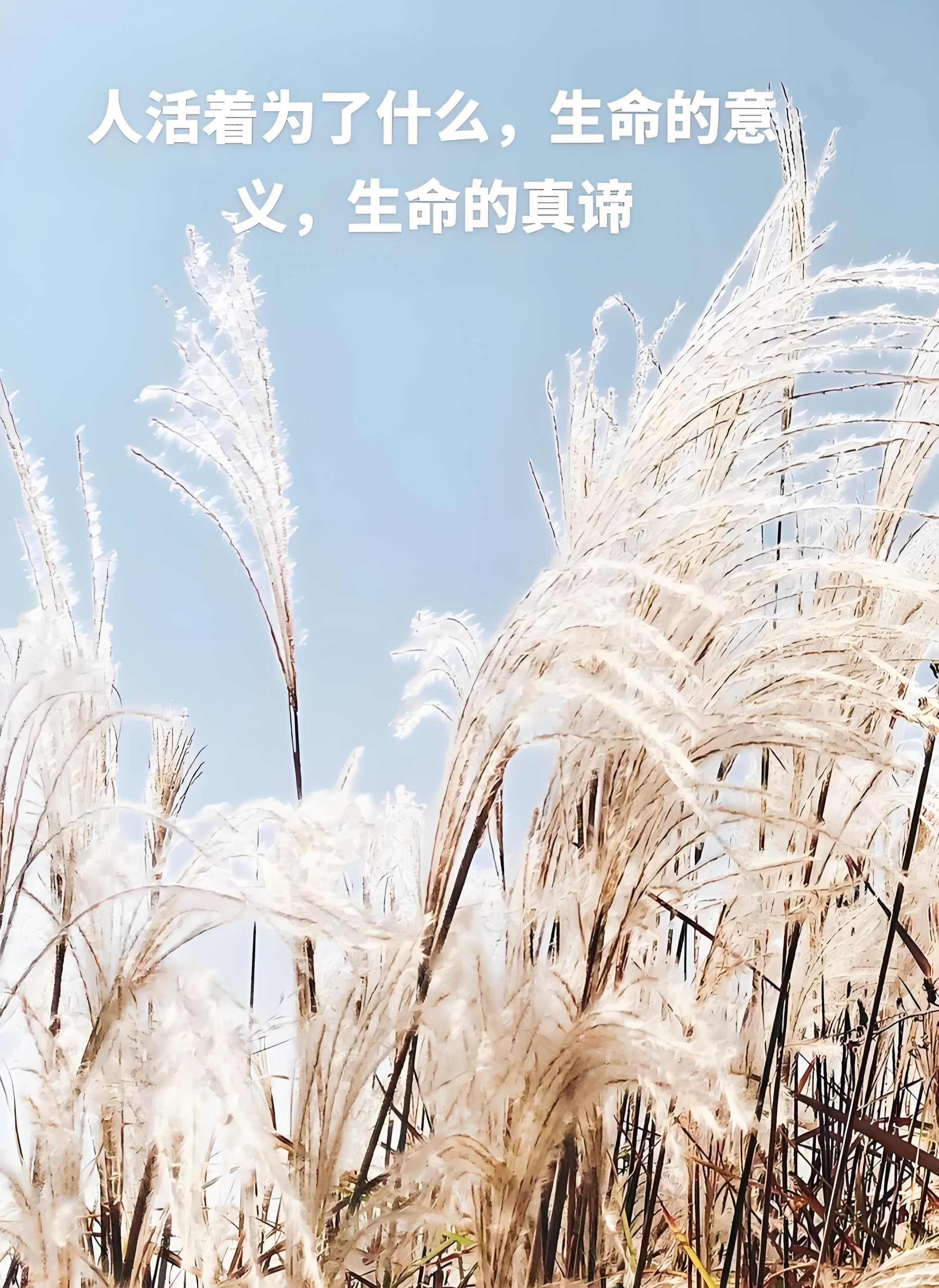 使命,是什么意思(膺承使命是什么意思)