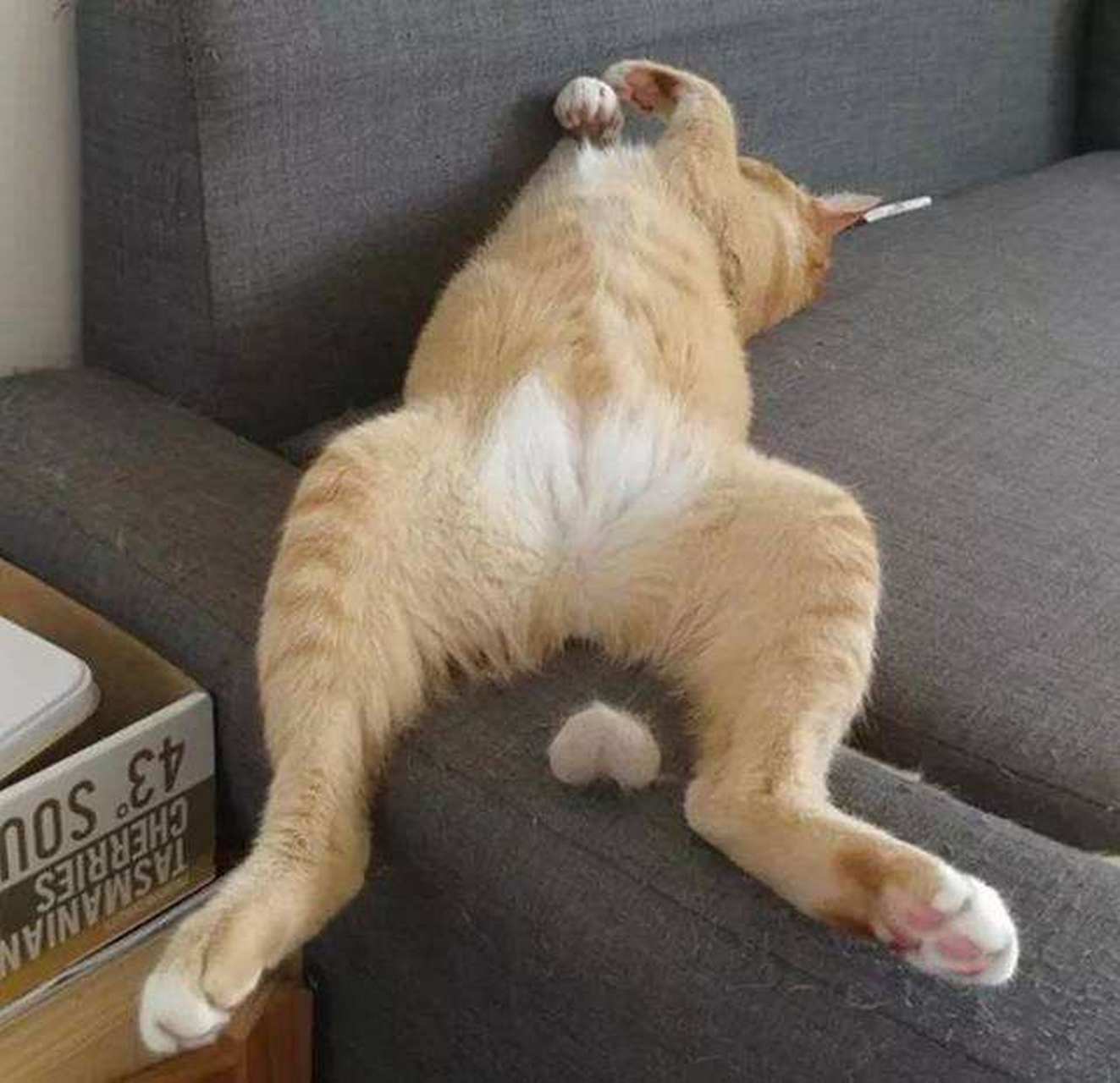 民国时候苏州有个人叫陈志远,以经商为生,混的家业颇丰,在那个乱世