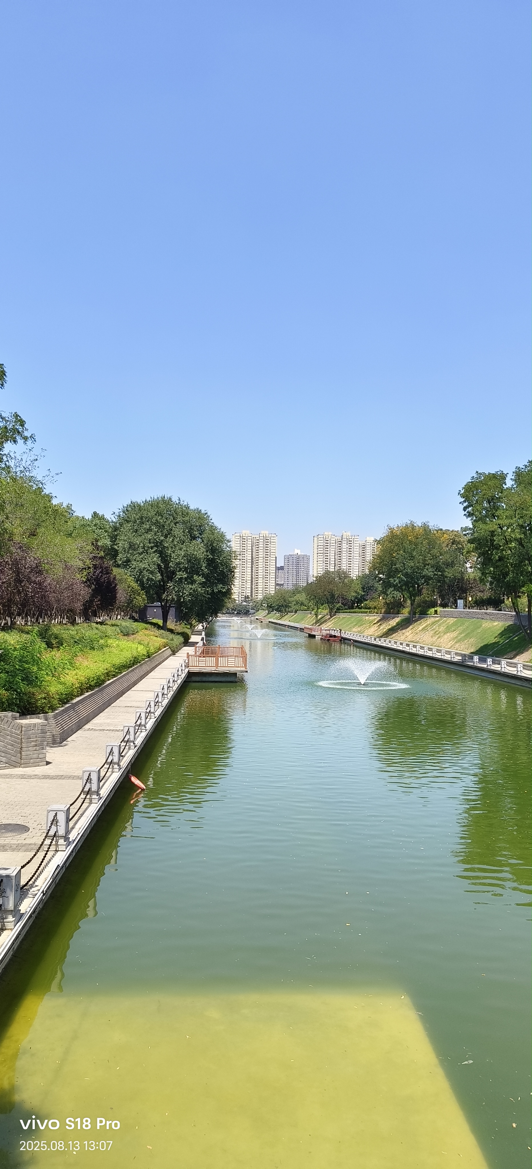 那些沉默的搀扶,无言的让步,暗处的托举,才是人性最亮的勋章