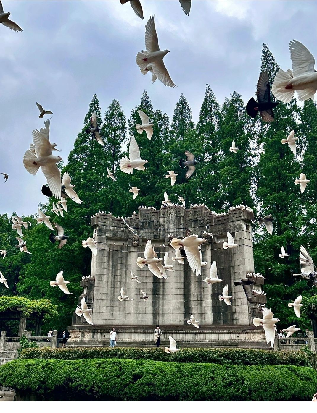 🏛 景点介绍  中山陵位于江苏省南京市玄武区紫金山南麓钟山风景