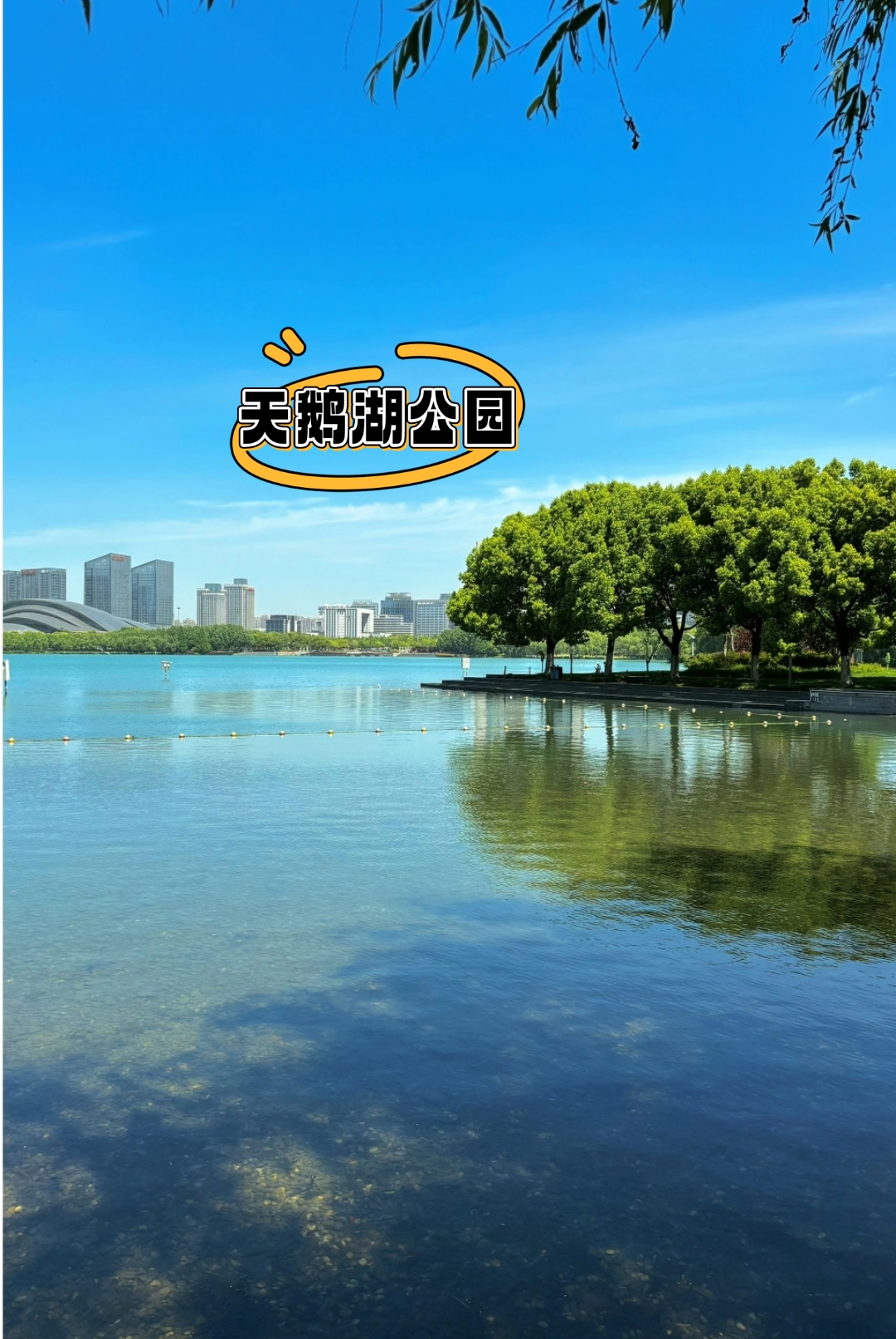 95 下面是一份合肥一日游攻略,带你吃喝玩乐,体验合肥的"徽"之魅力!