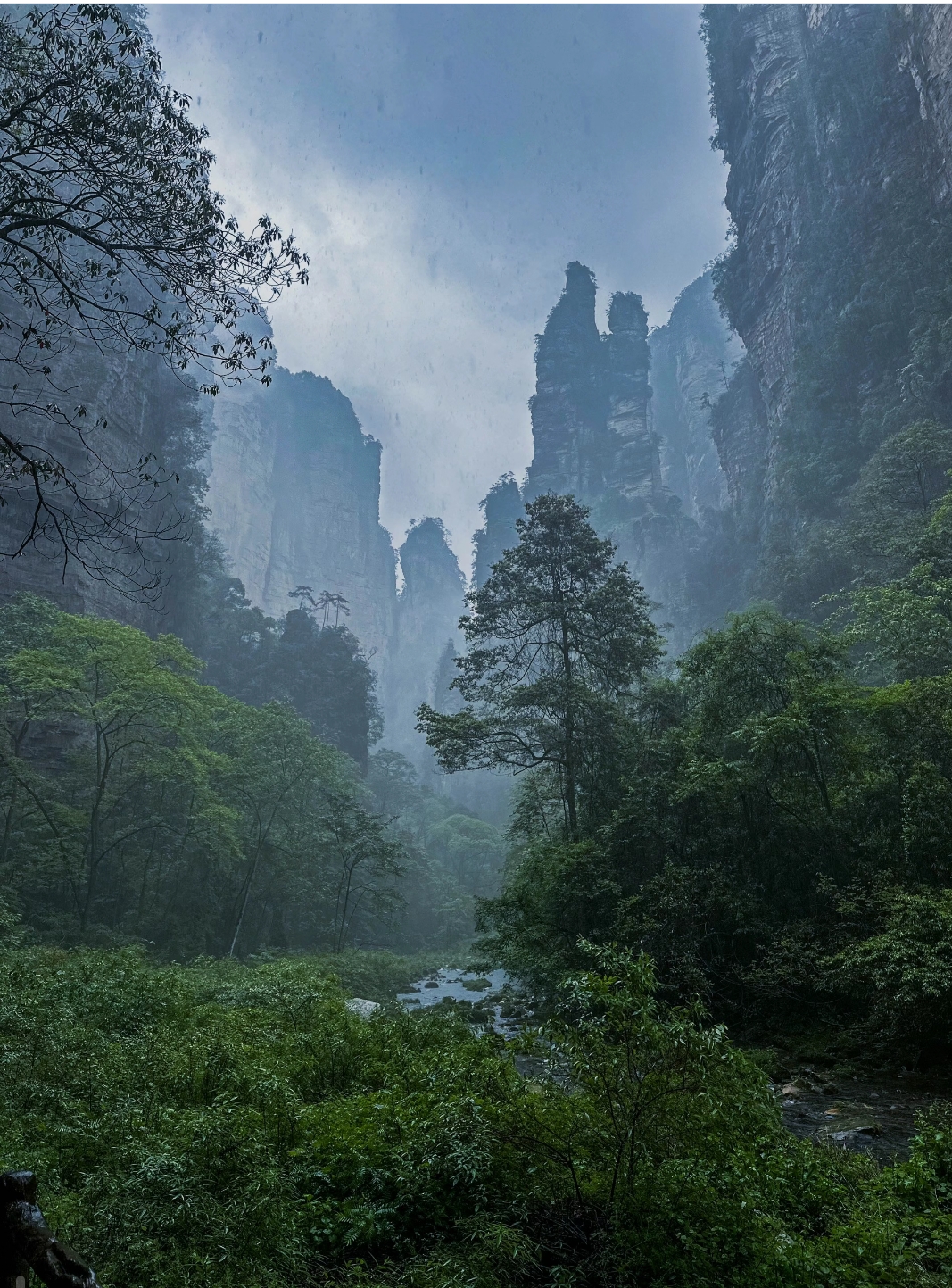 湖南森林公园景点介绍图片