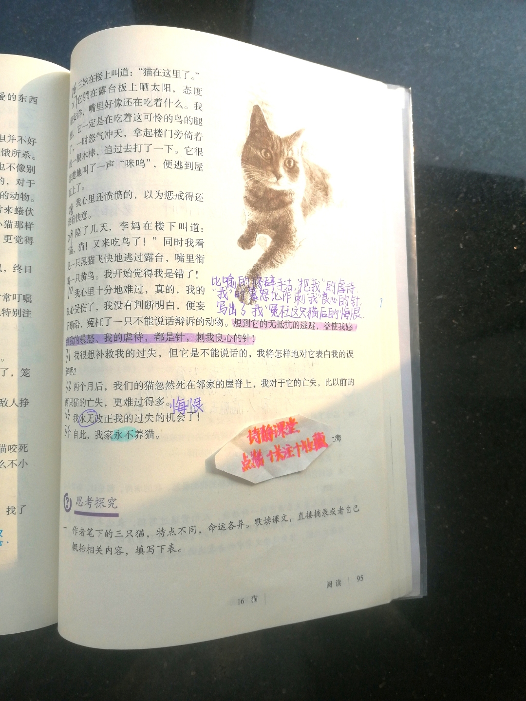 16课猫的笔记图片图片