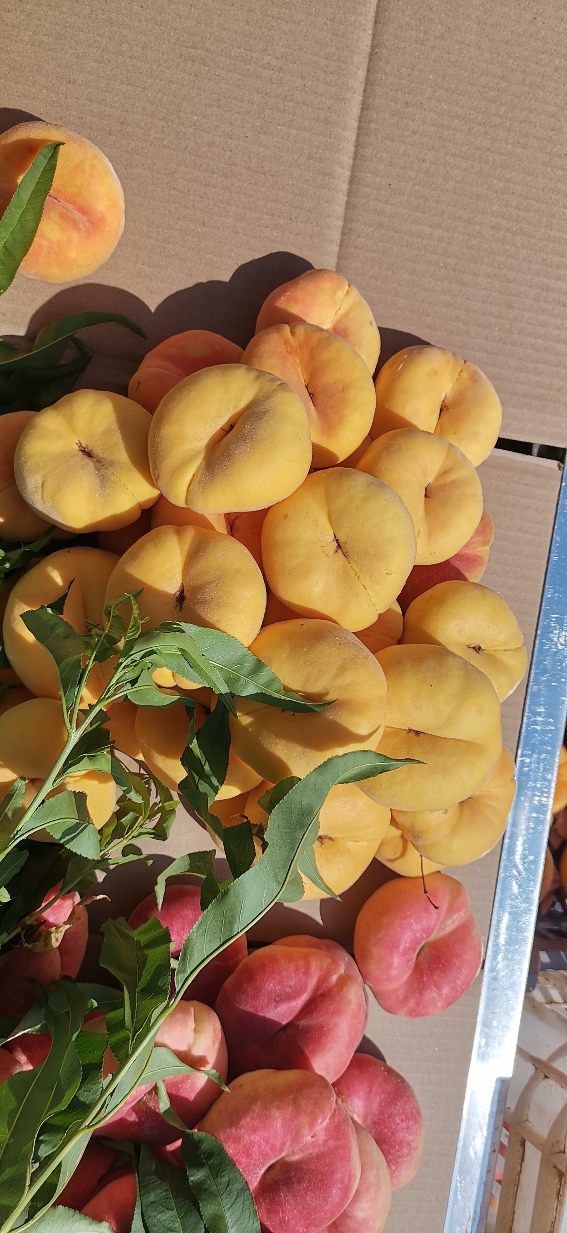 欢迎选购,量多优惠,自家大桃,可联系采摘,淘宝店铺:十里桃花平谷鲜桃
