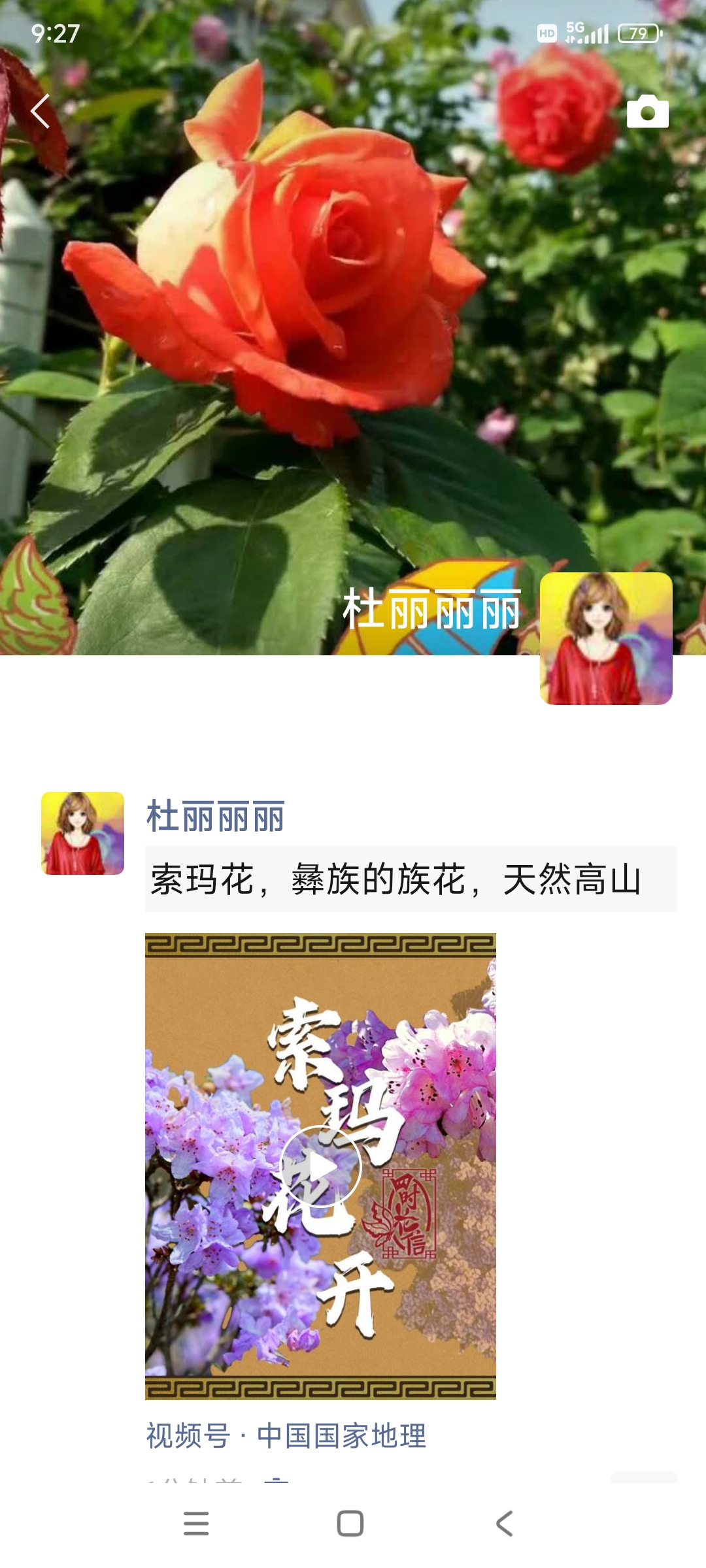 索玛花,彝族的族花,天然高山名花,野生杜鹃花的彝语名,象征纯洁美丽