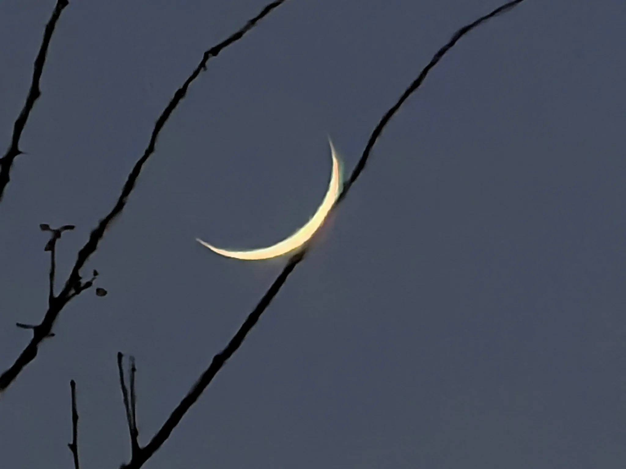 月华如练,独影倚窗前