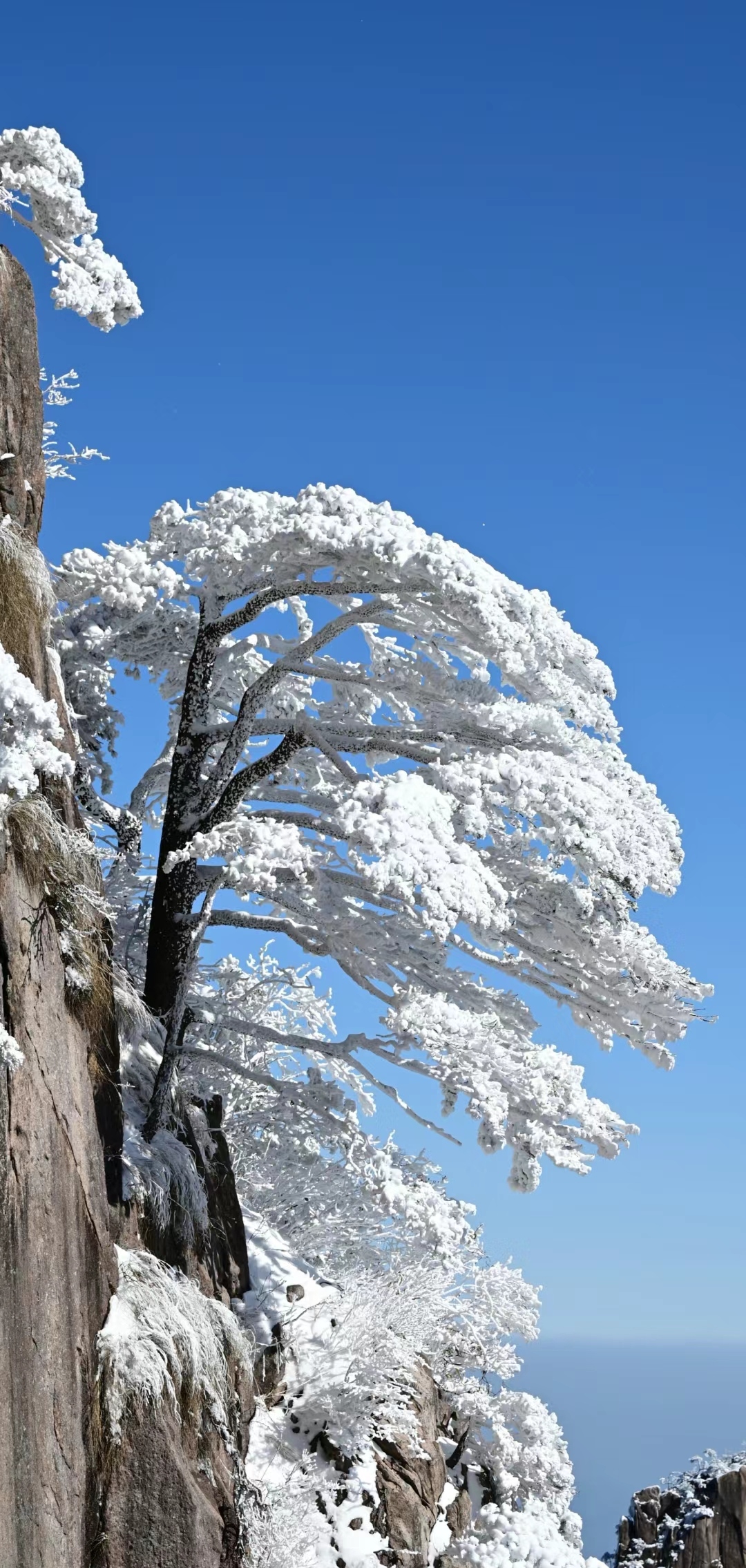 游黄山雪景美篇图片