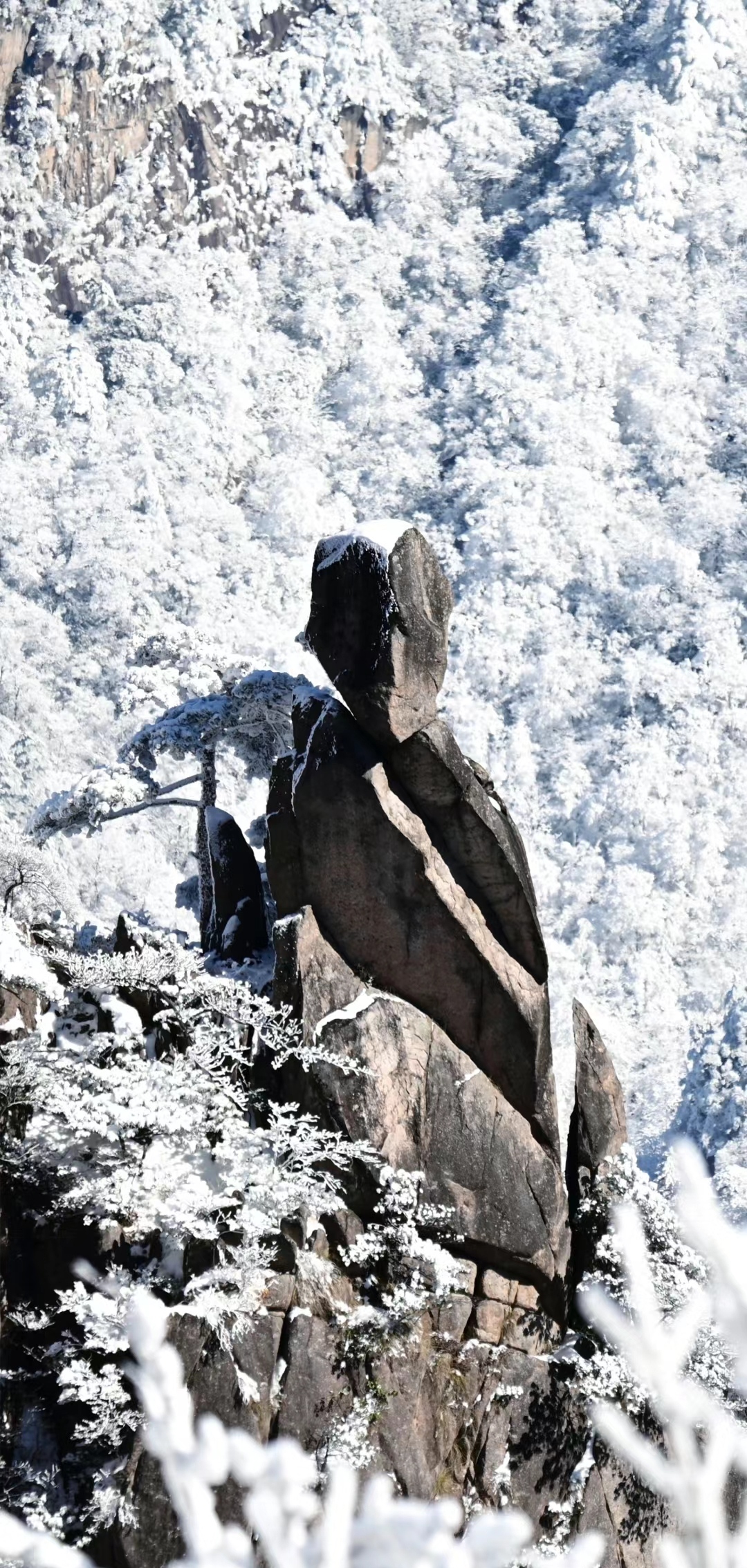 游黄山雪景美篇图片