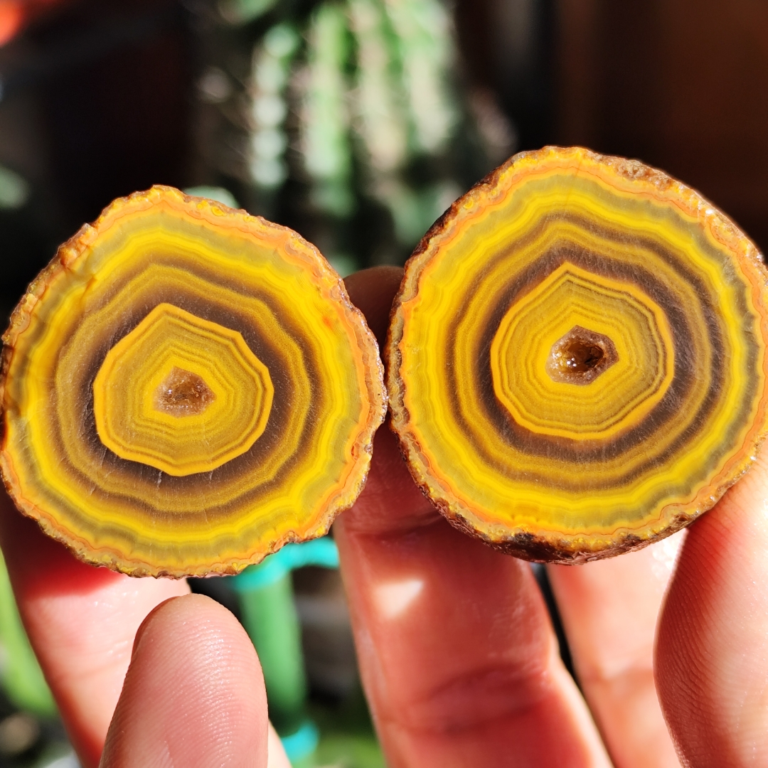 战国红玛瑙天然桃心同心圆缠丝鸡油黄对石,珍稀独特,色彩瑰丽,收藏