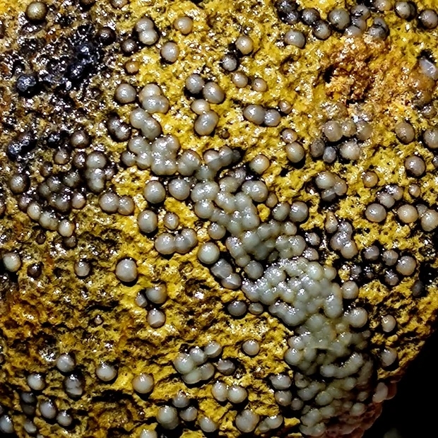 这天然玛瑙石满米粒儿,招财寓意多子多福!