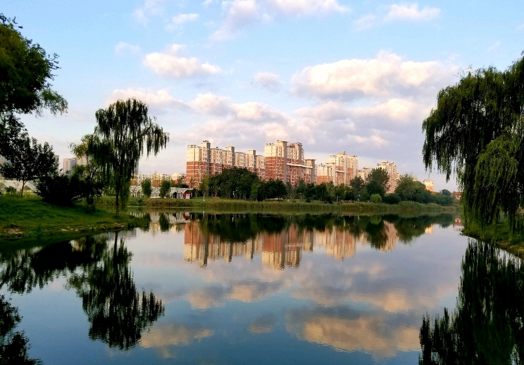 【随手拍】 风景就在你身边, 遇见就是一种美好. 各位,早上好!