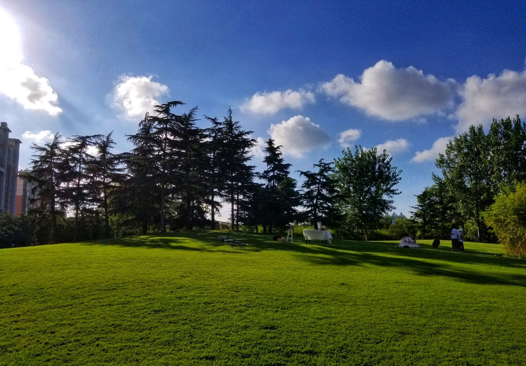 【夏日即景】 晴空万里白云飘,芳草碧水也娇娆.