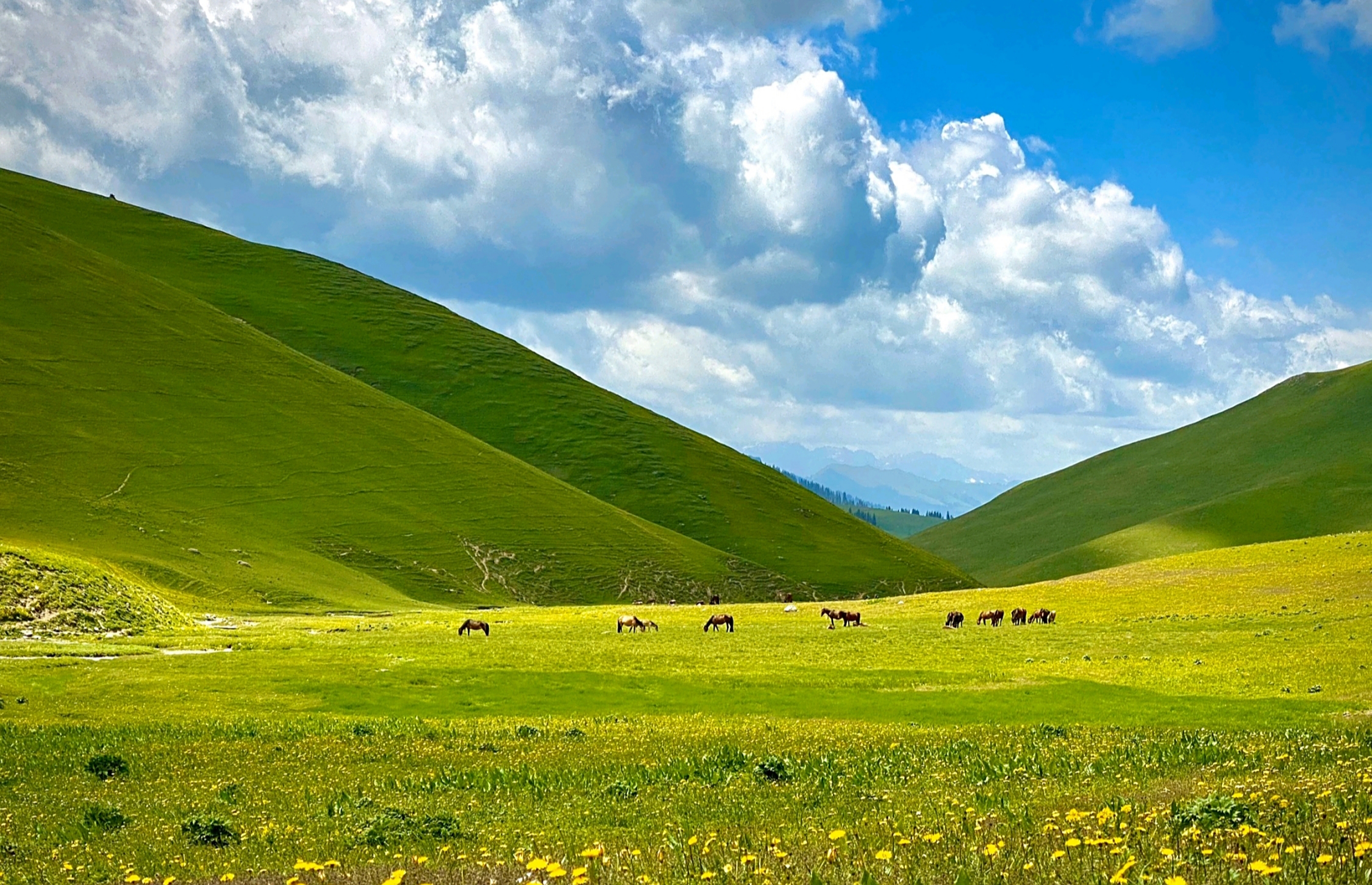 每日句典:【天行健,君子以自强不息; 地势坤,君子以厚德载物】.
