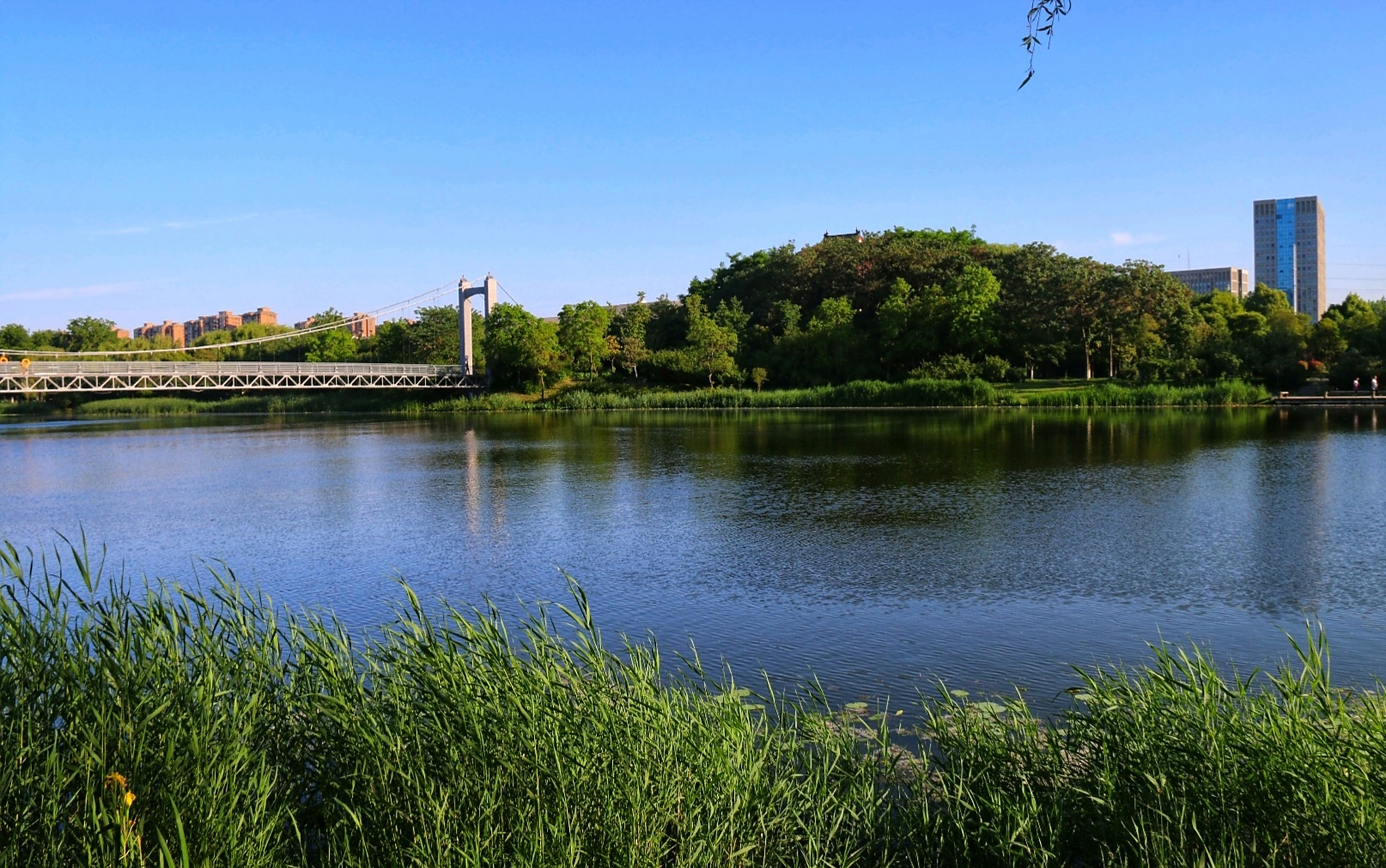 分享宿迁市古黄河公园美图.
