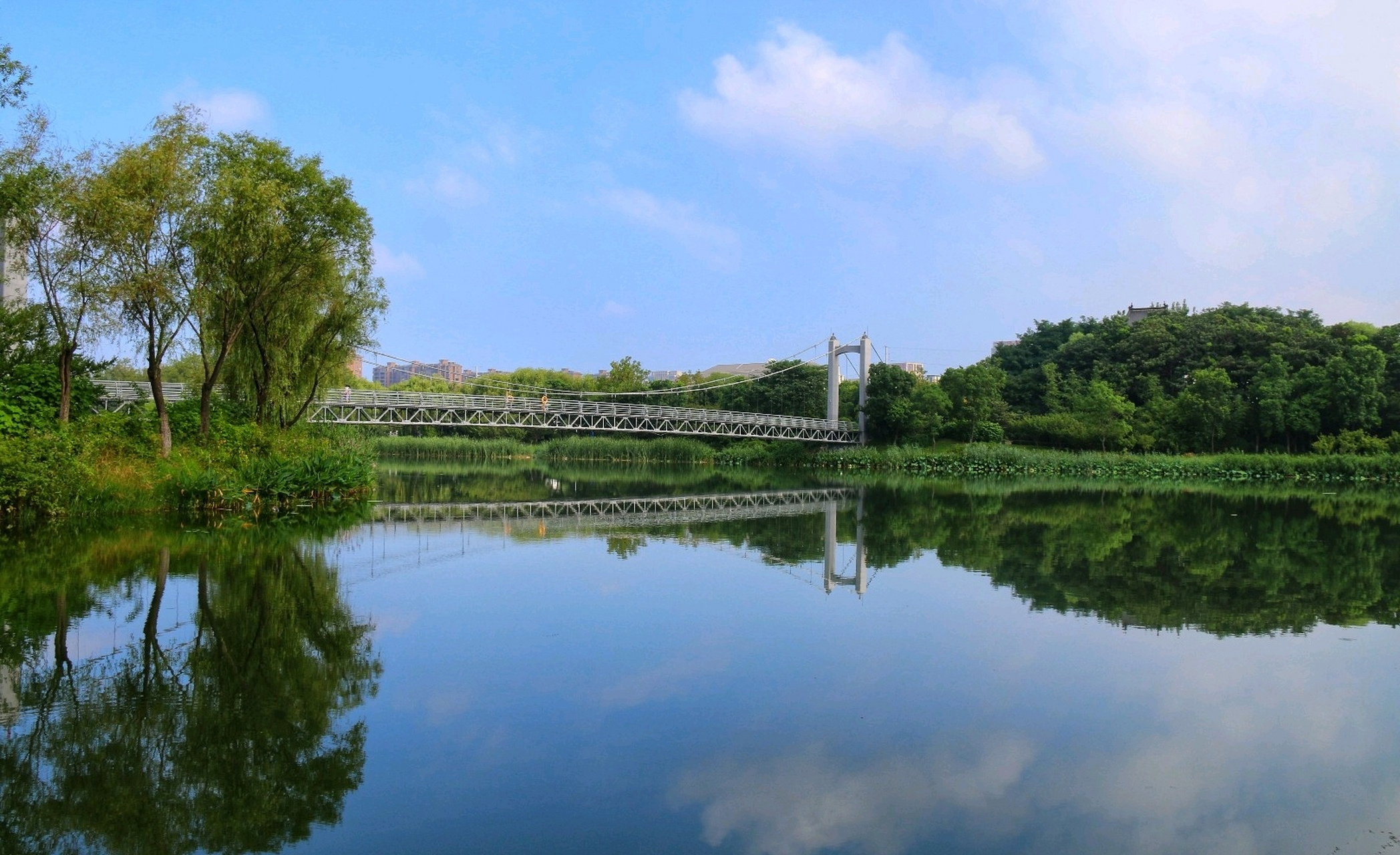 【夏日即景】 晴空万里白云飘,芳草碧水也娇娆.