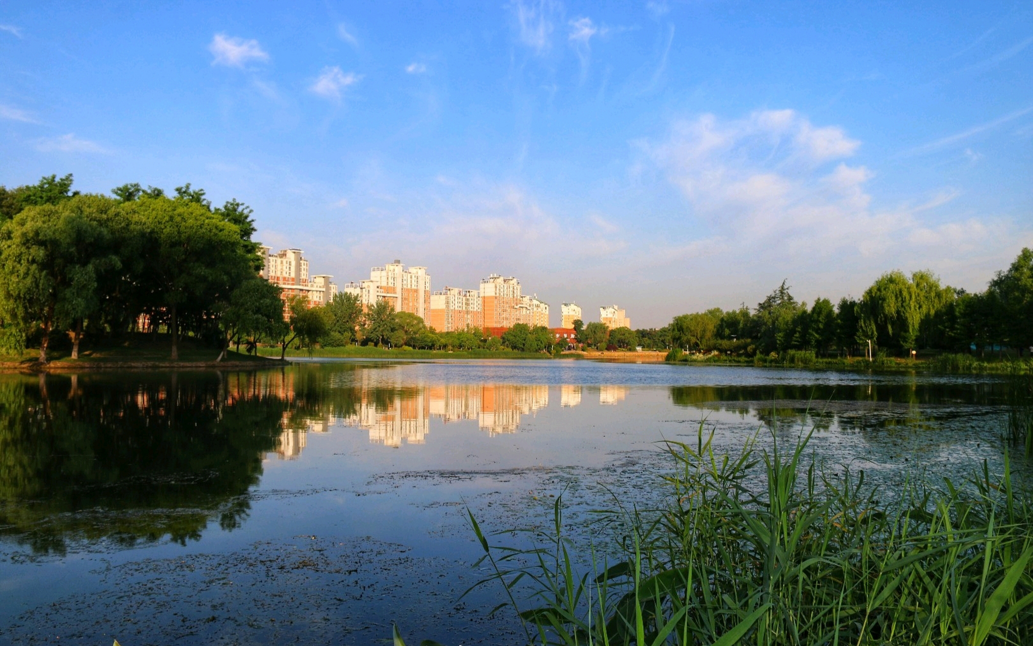 分享宿迁市古黄河公园美图.