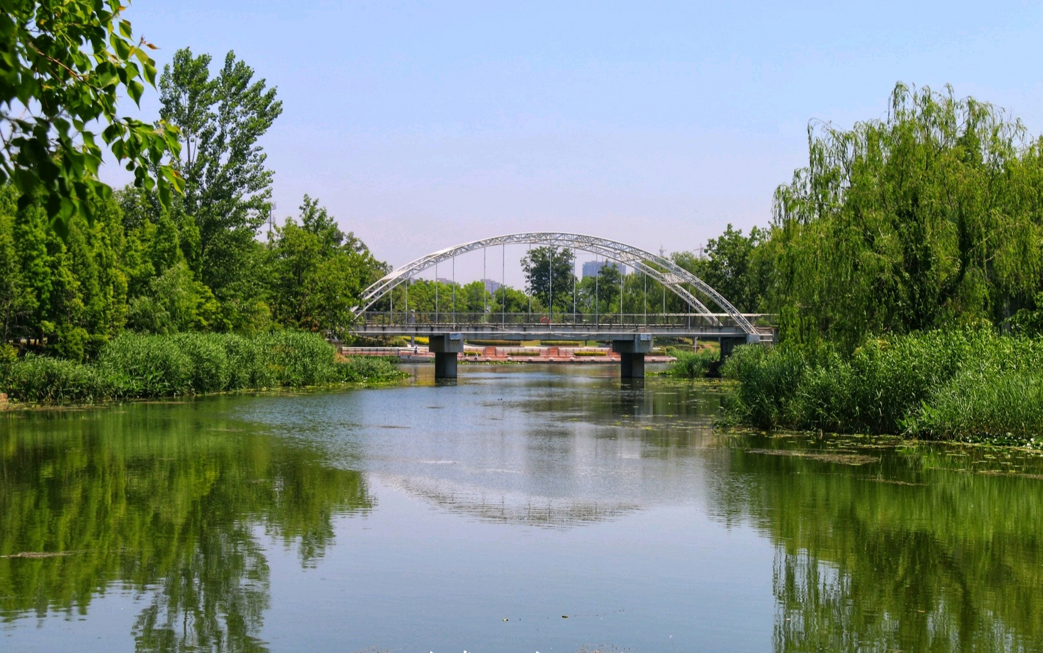 分享宿迁市古黄河公园美图.