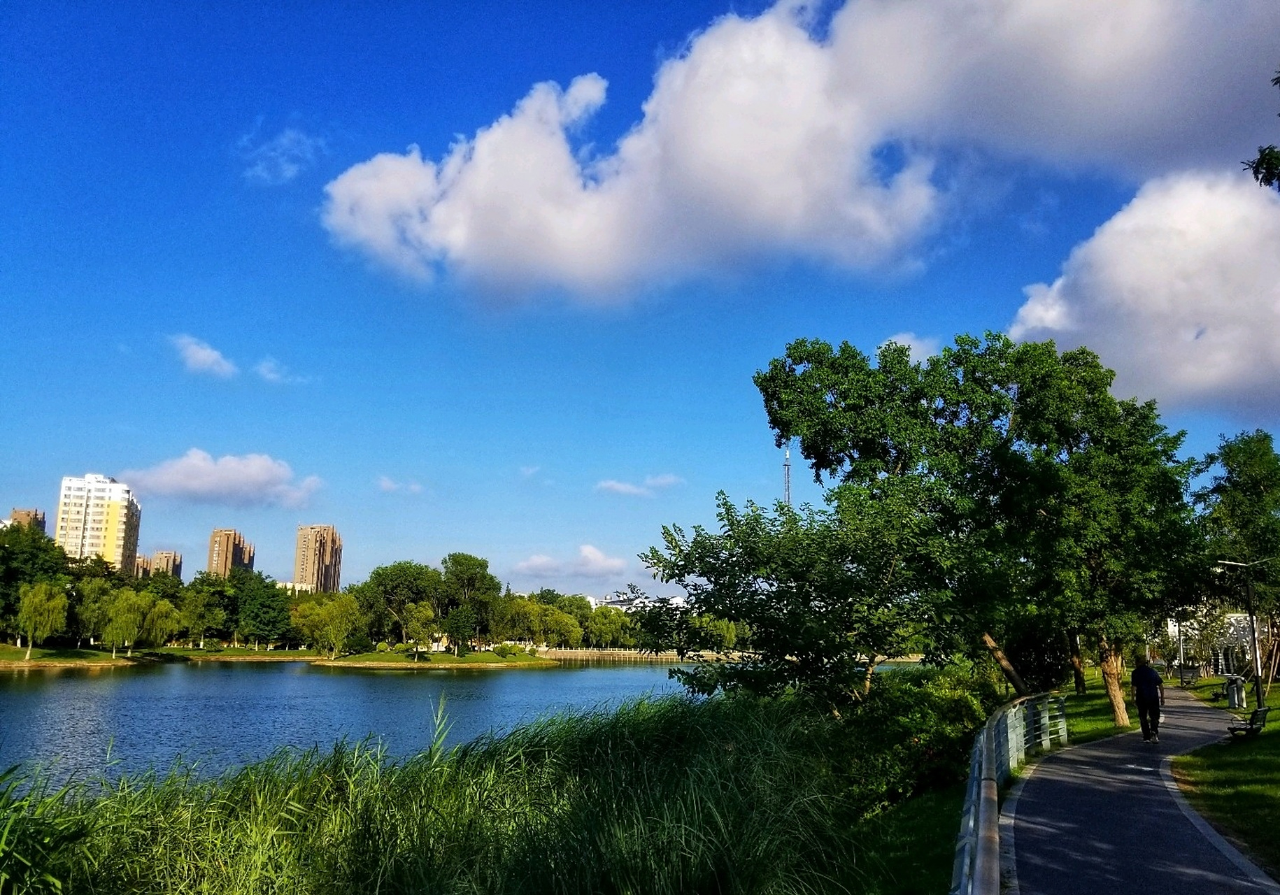 【夏日即景】 晴空万里白云飘,芳草碧水也娇娆.