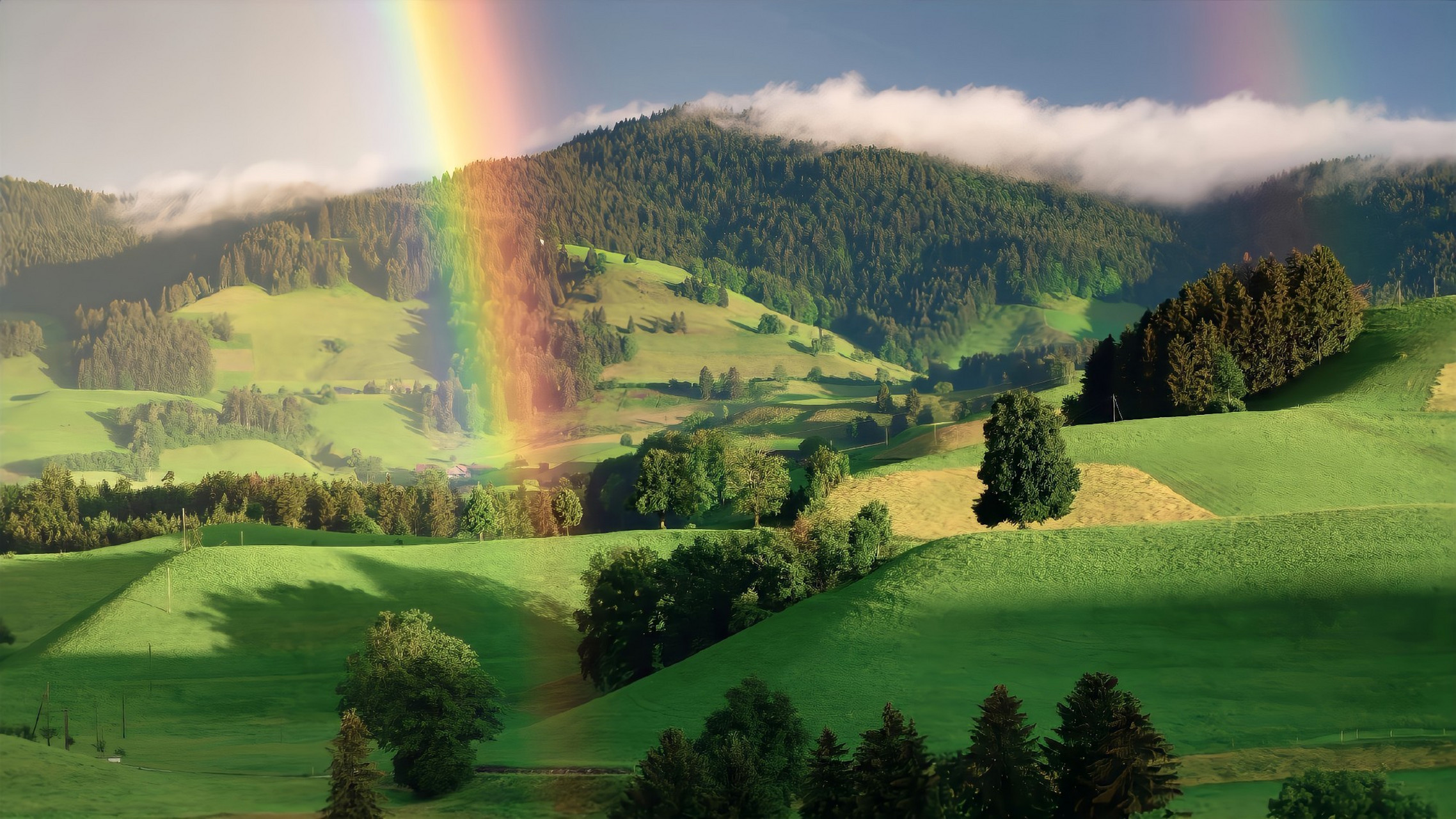 绿色系的电脑pad壁纸～#电脑壁纸# #pad壁纸# #壁纸# #动态连更挑战