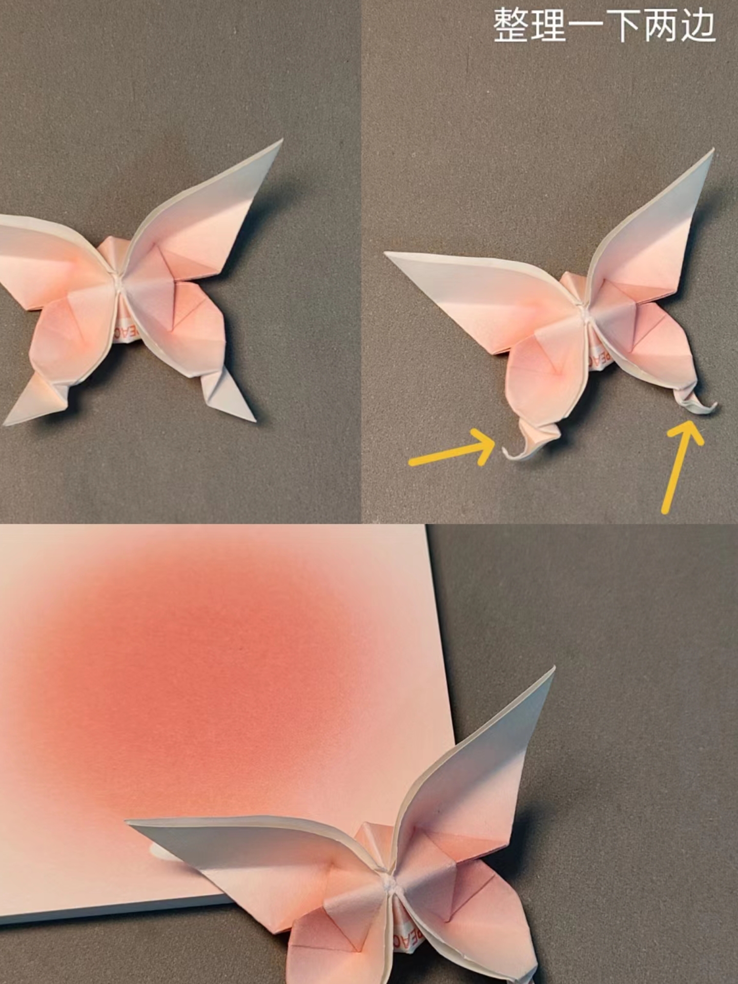 今天来教大家一个超级简单又好看的diy项目——纸蝴蝶制作教程!