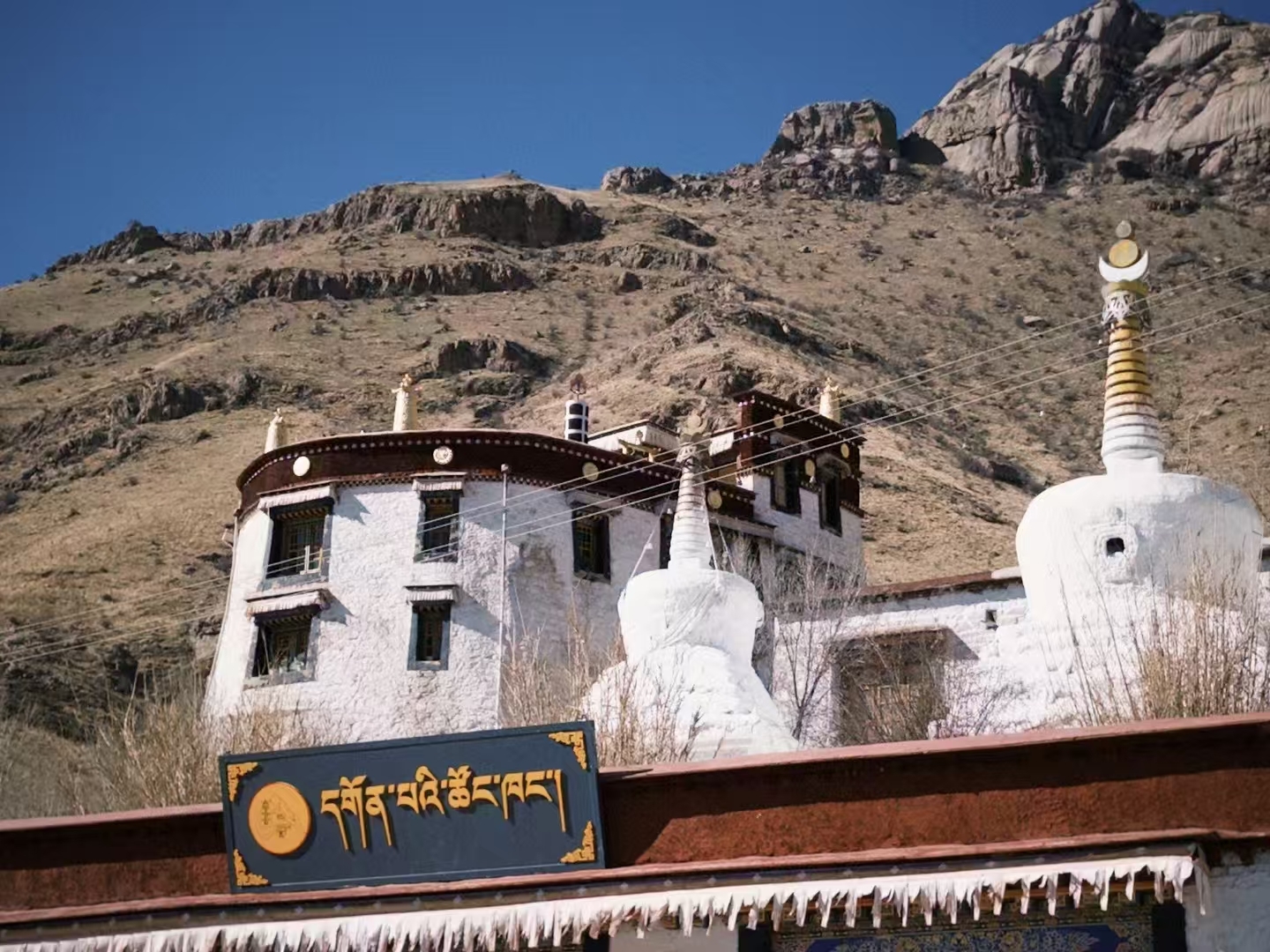 本团队有商务车,越野车 成都-