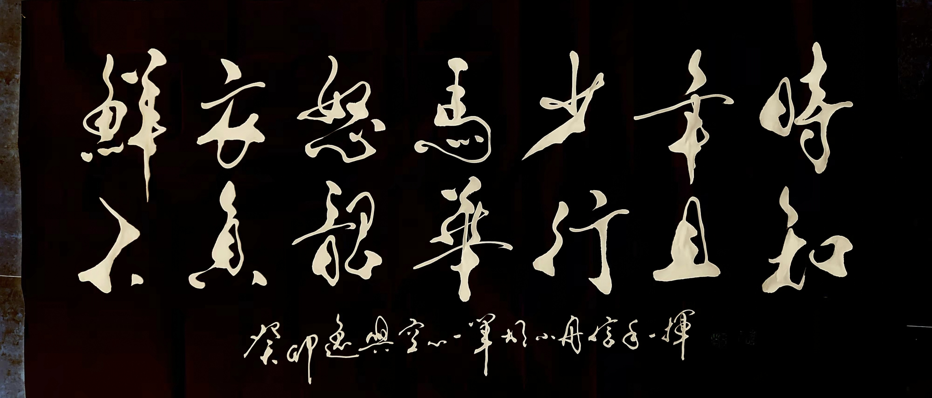 书法家胡小舟作品《鲜衣怒马少年时 不负韶华行且知》