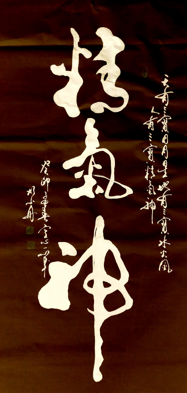 书法家胡小舟作品《精气神》