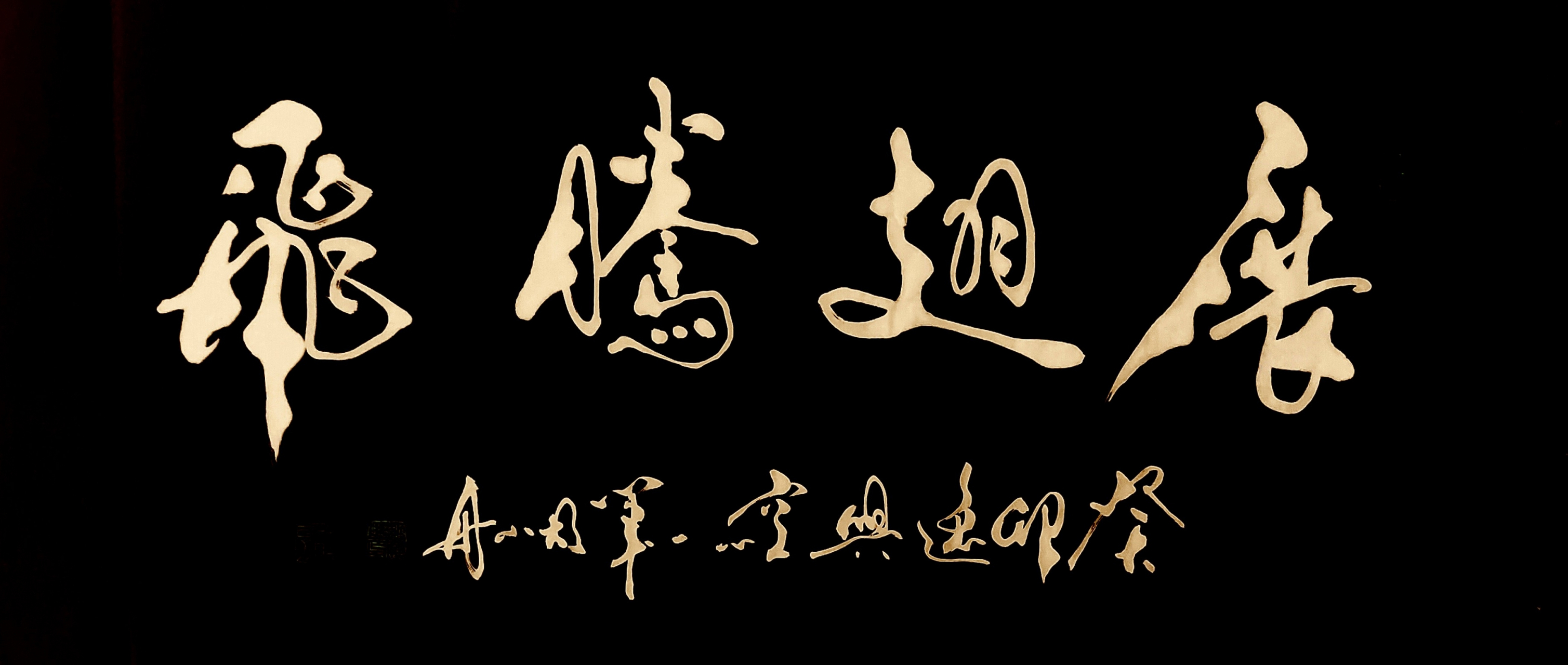 书法家胡小舟癸卯作品《展翅腾飞》