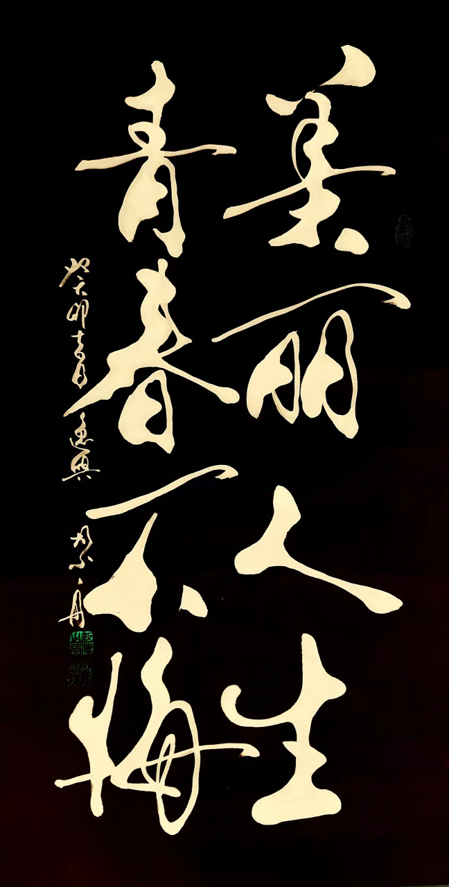 书法家胡小舟作品《睡前原谅一切醒来便是重生》巜美丽人生青春不悔》