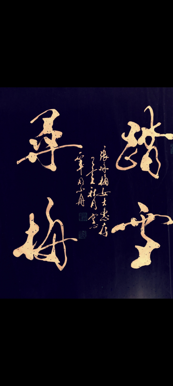 书法家胡小舟作品《踏雪寻梅》