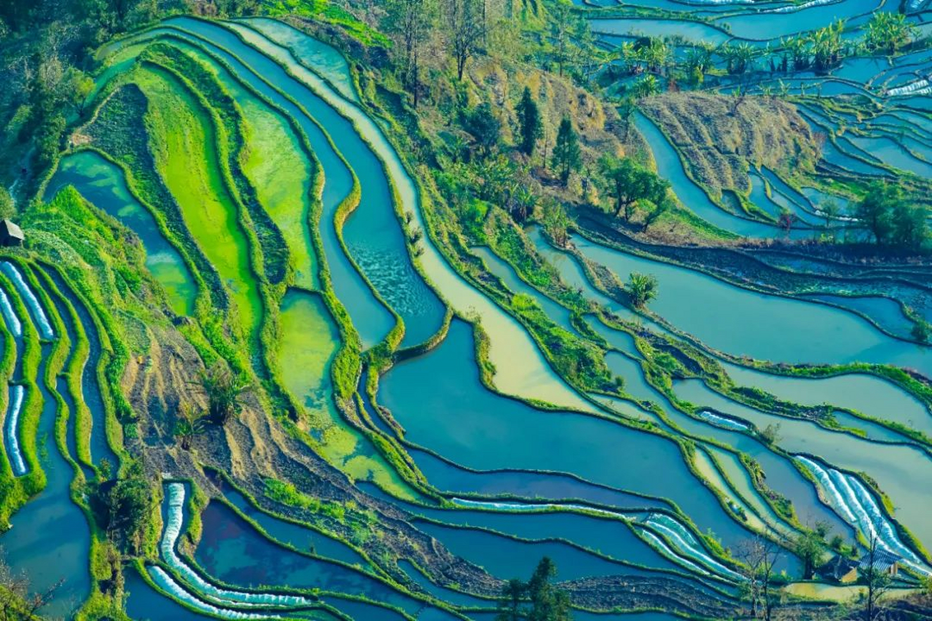 元阳哈尼梯田,位于云南省红河州元阳县的哀牢山南部,是哈尼族人世世代