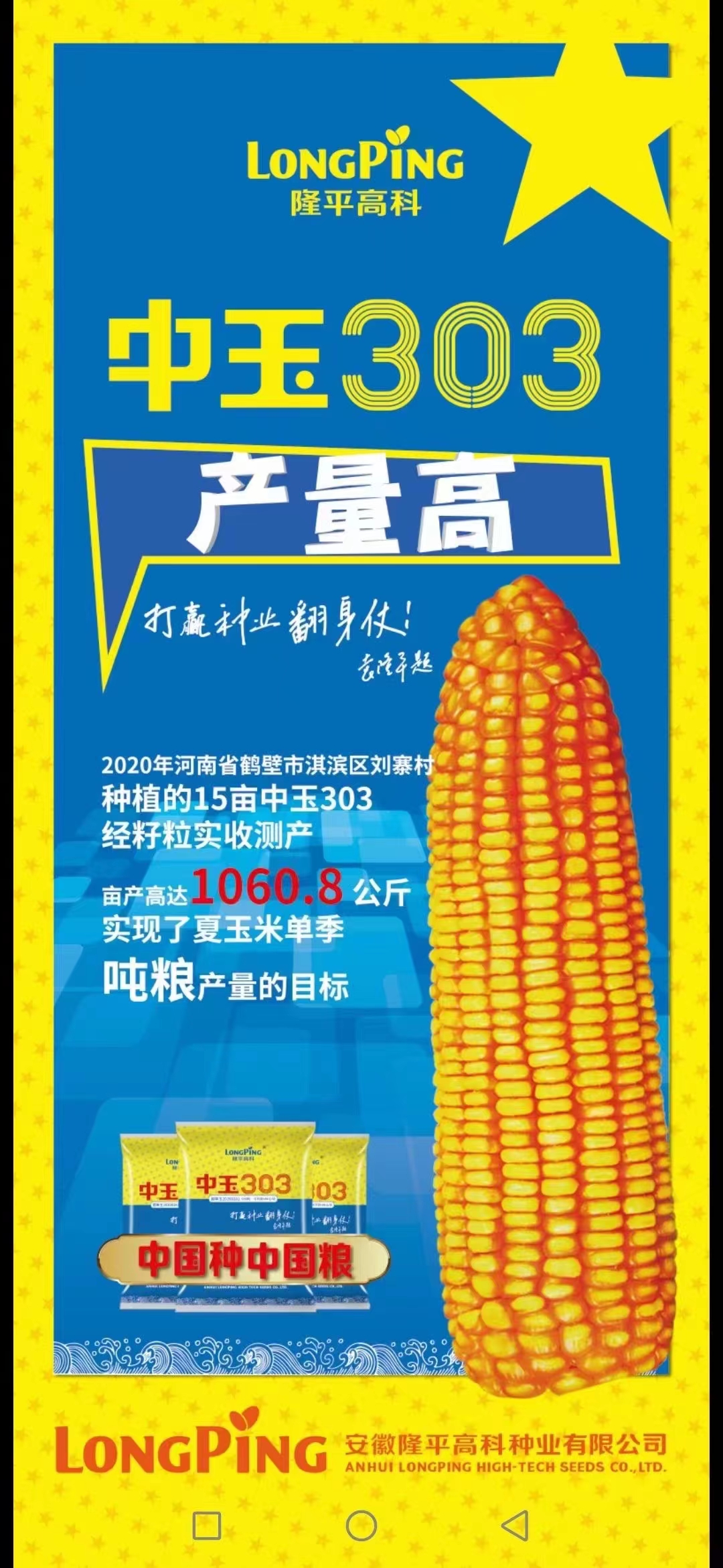 中玉303审定公告图片