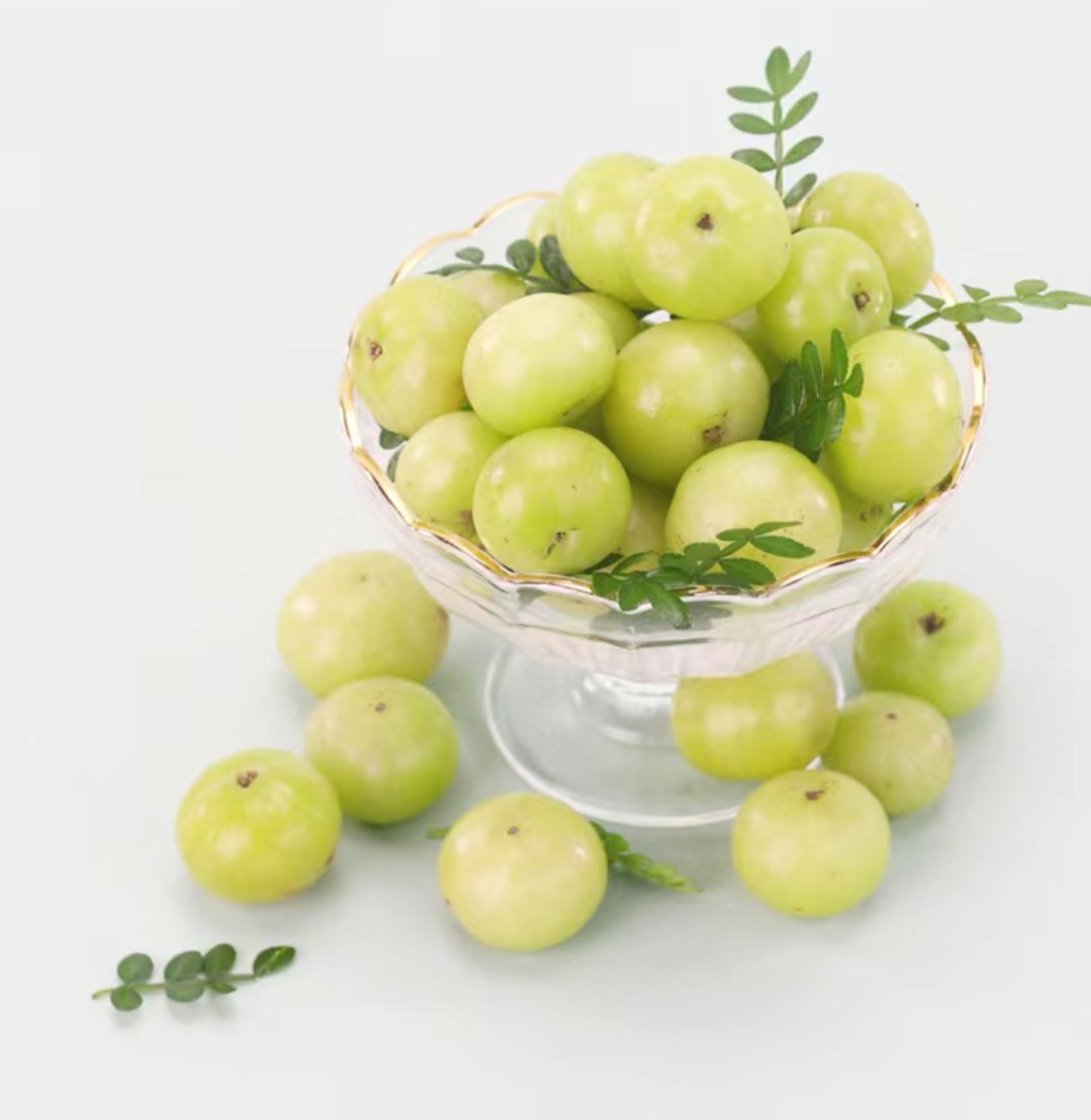 油柑  油柑是一种常见的果树,因其果皮表面粗糙,外貌与橄榄相似,所以