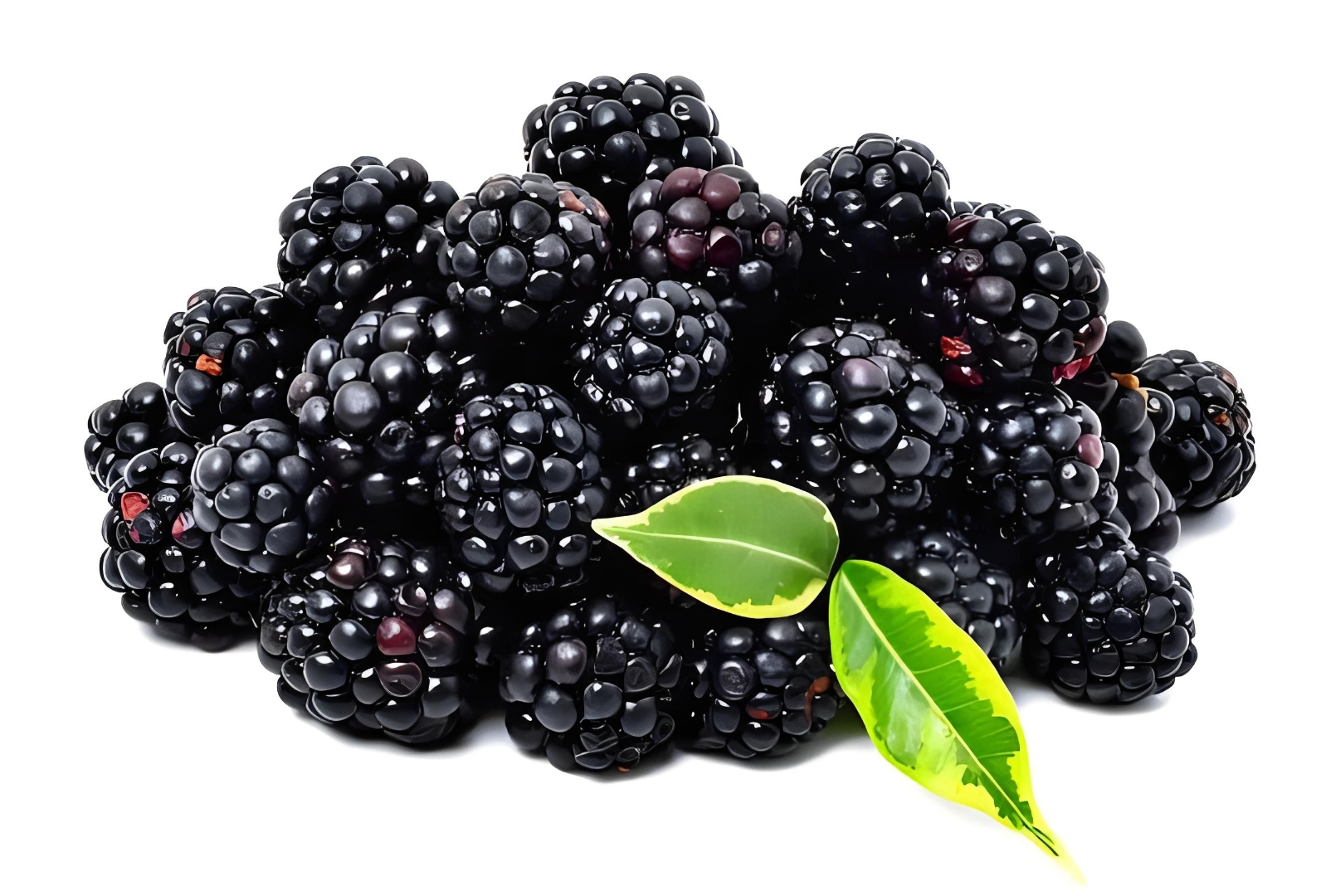 黑莓  黑莓是一种非常受欢迎的水果,它有着柔软的口感和甜美的味道