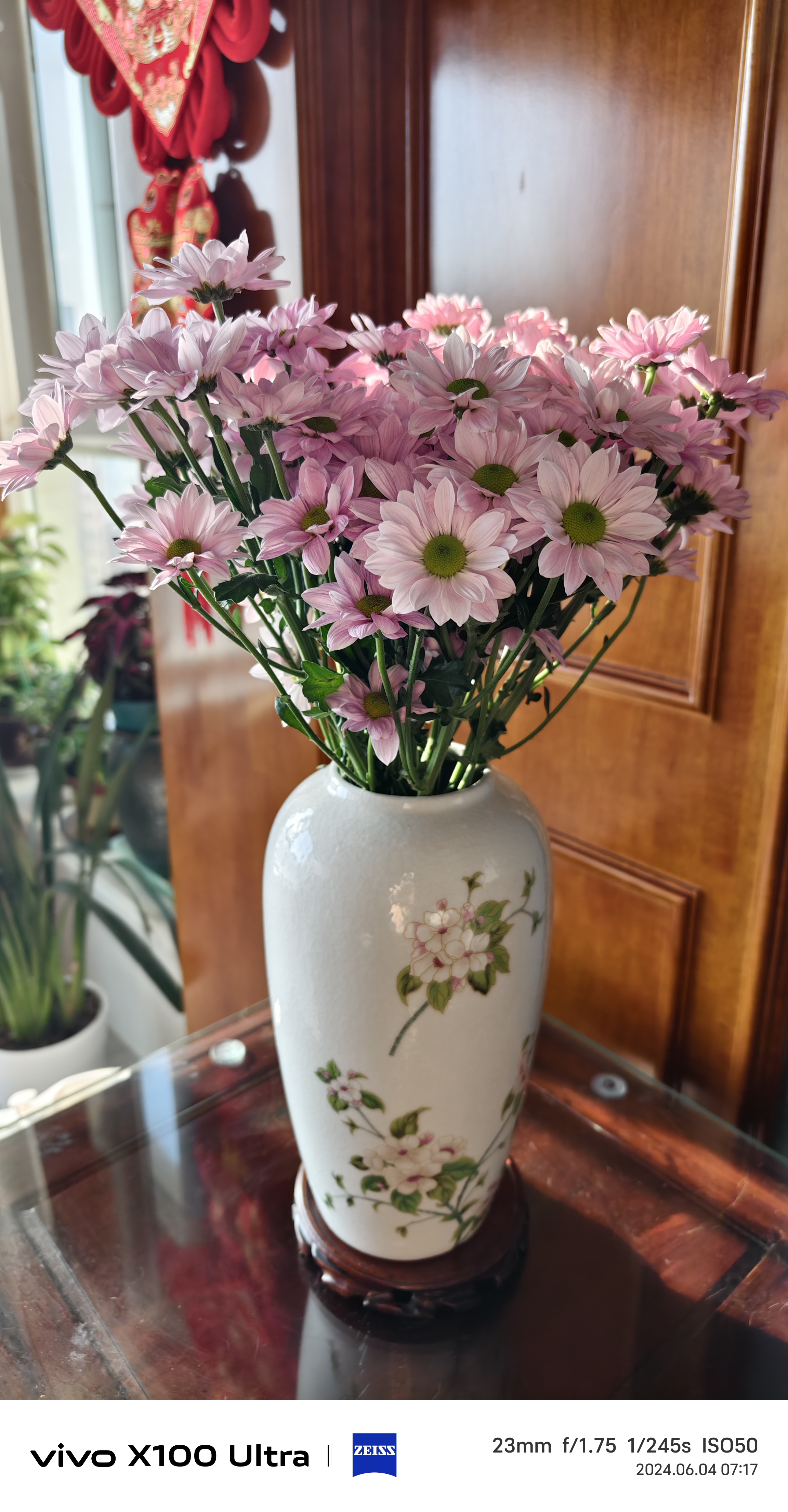 花瓶里的小雏菊,清新淡雅,为家增添了几分温馨.