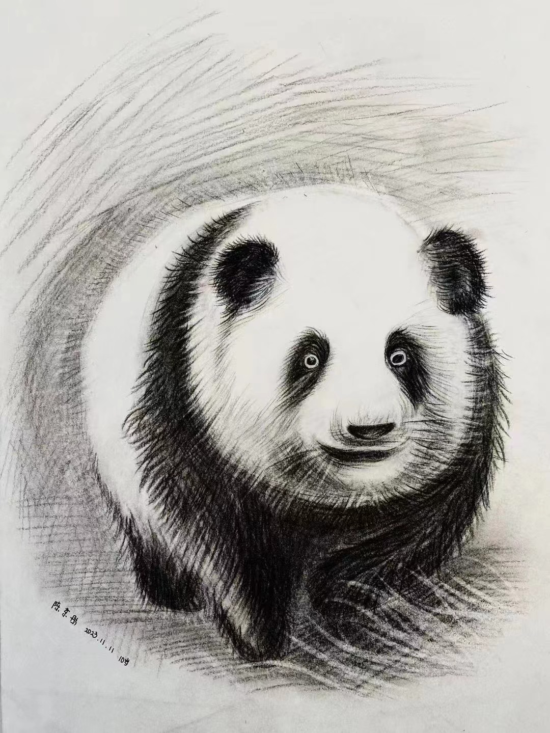 我说说我们的点点滴滴吧,首先我说的都是真的素描大熊猫图片大全