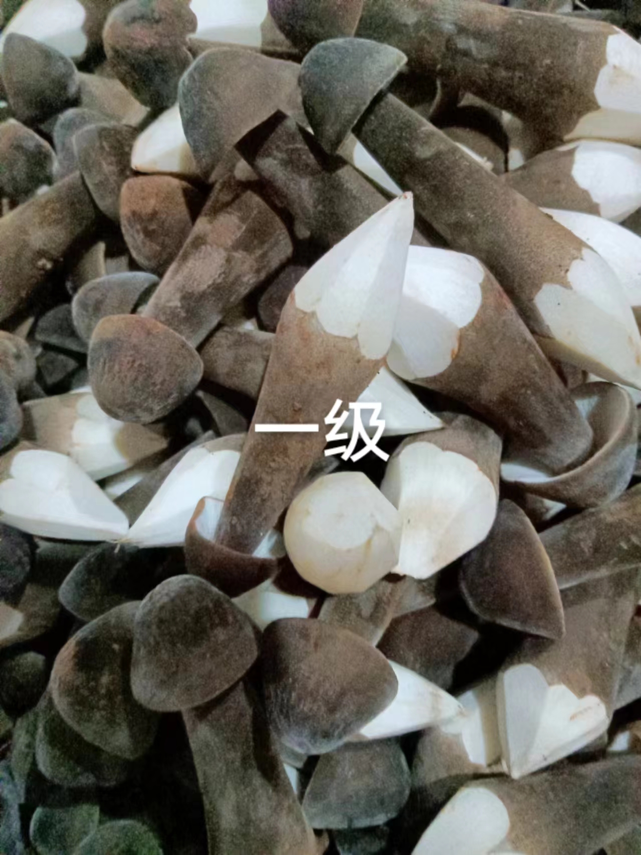 黑皮鸡枞菌飞机发货