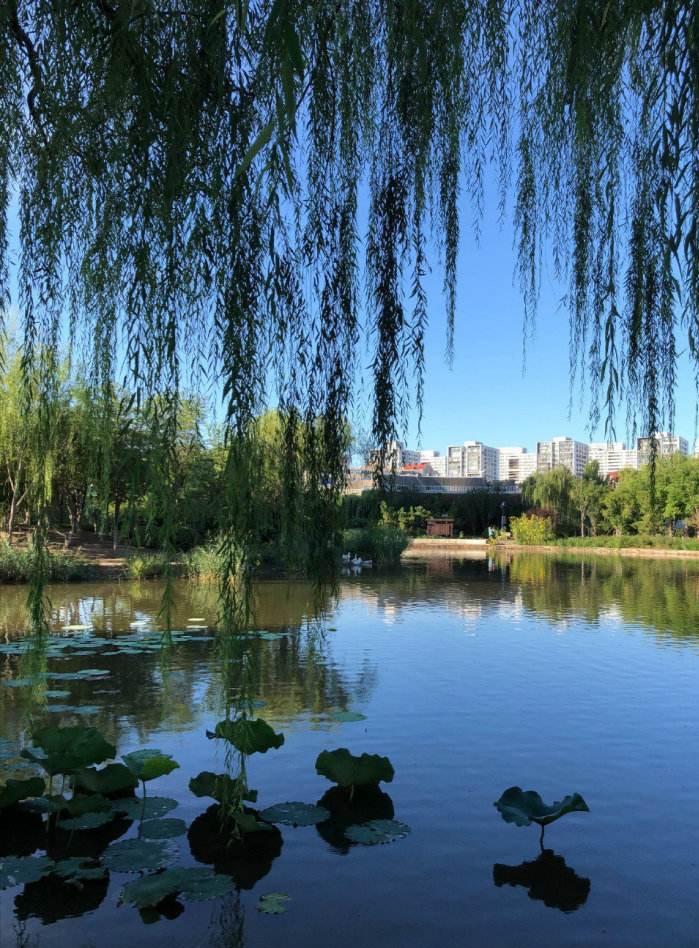南翠屏公园  健身活动好地方, 环保堆山南翠屏, 天朗气清惠风和, 登顶