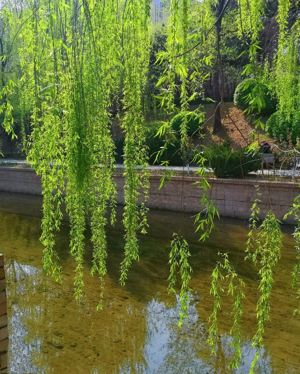 《处世悬镜》:"柔之戒,弱也;刚之戒,强也." 【理解】一个人的性格柔和