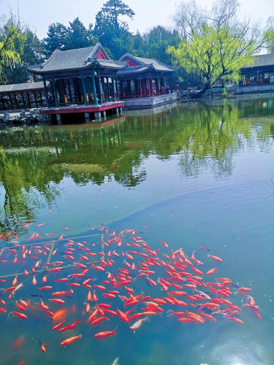 《处世悬镜》:"养心莫善于寡欲,养廉莫善于止贪." 【理解】要修养心性